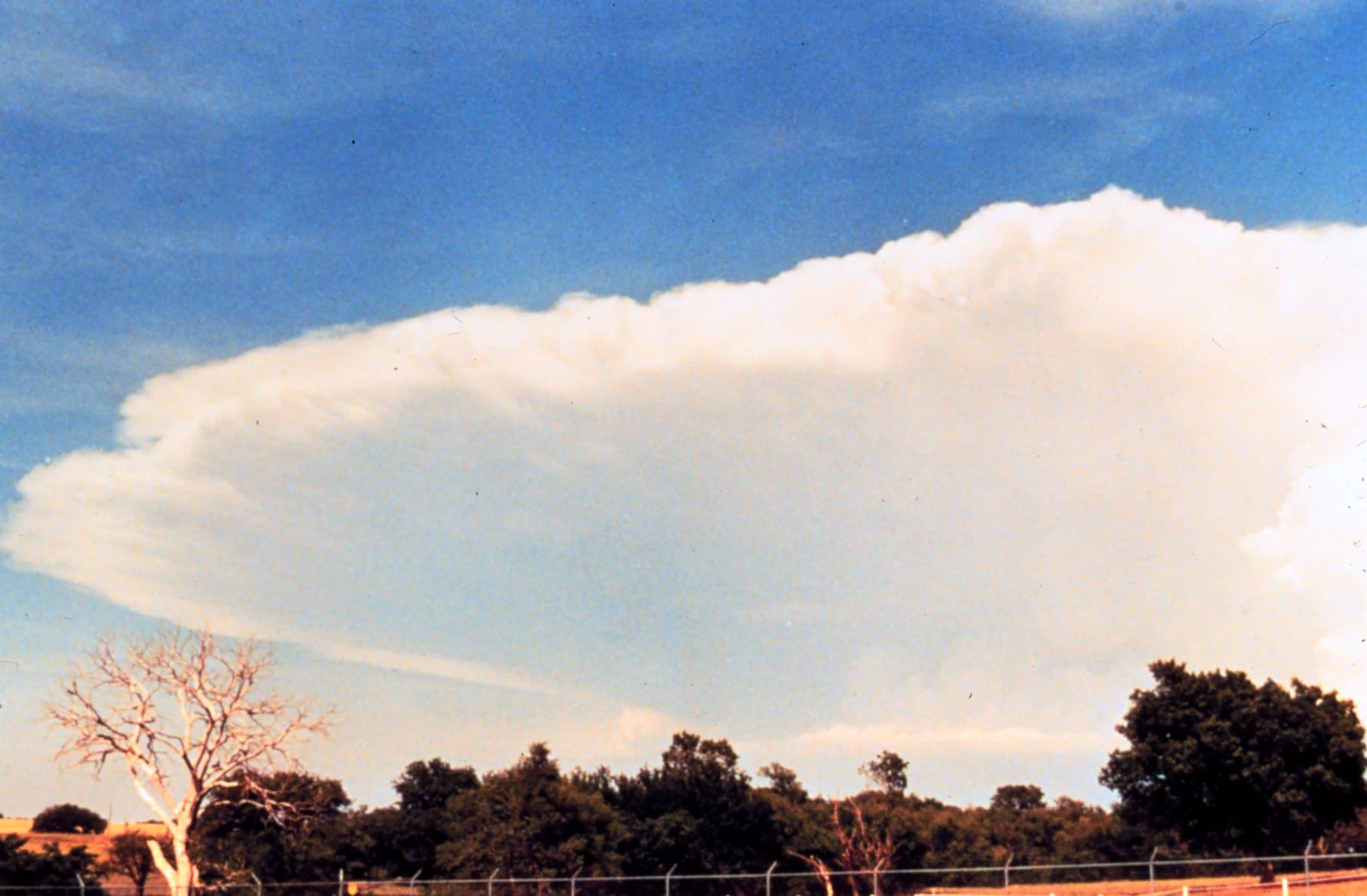 Cumulonimbus cloud - NOAA