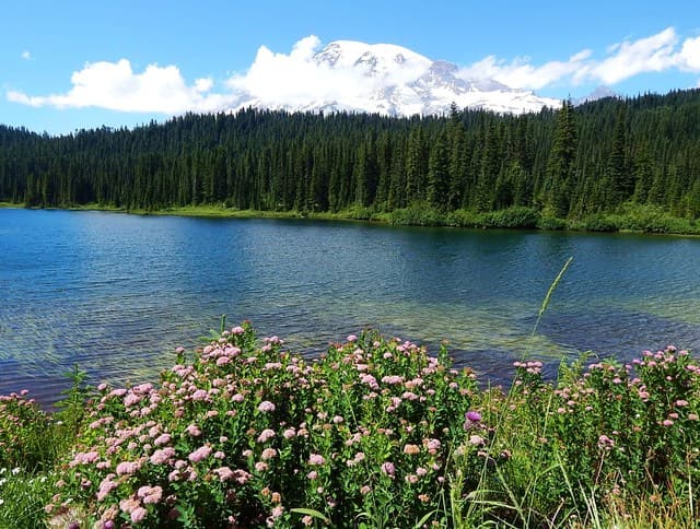 Reflection Lake 2015 July