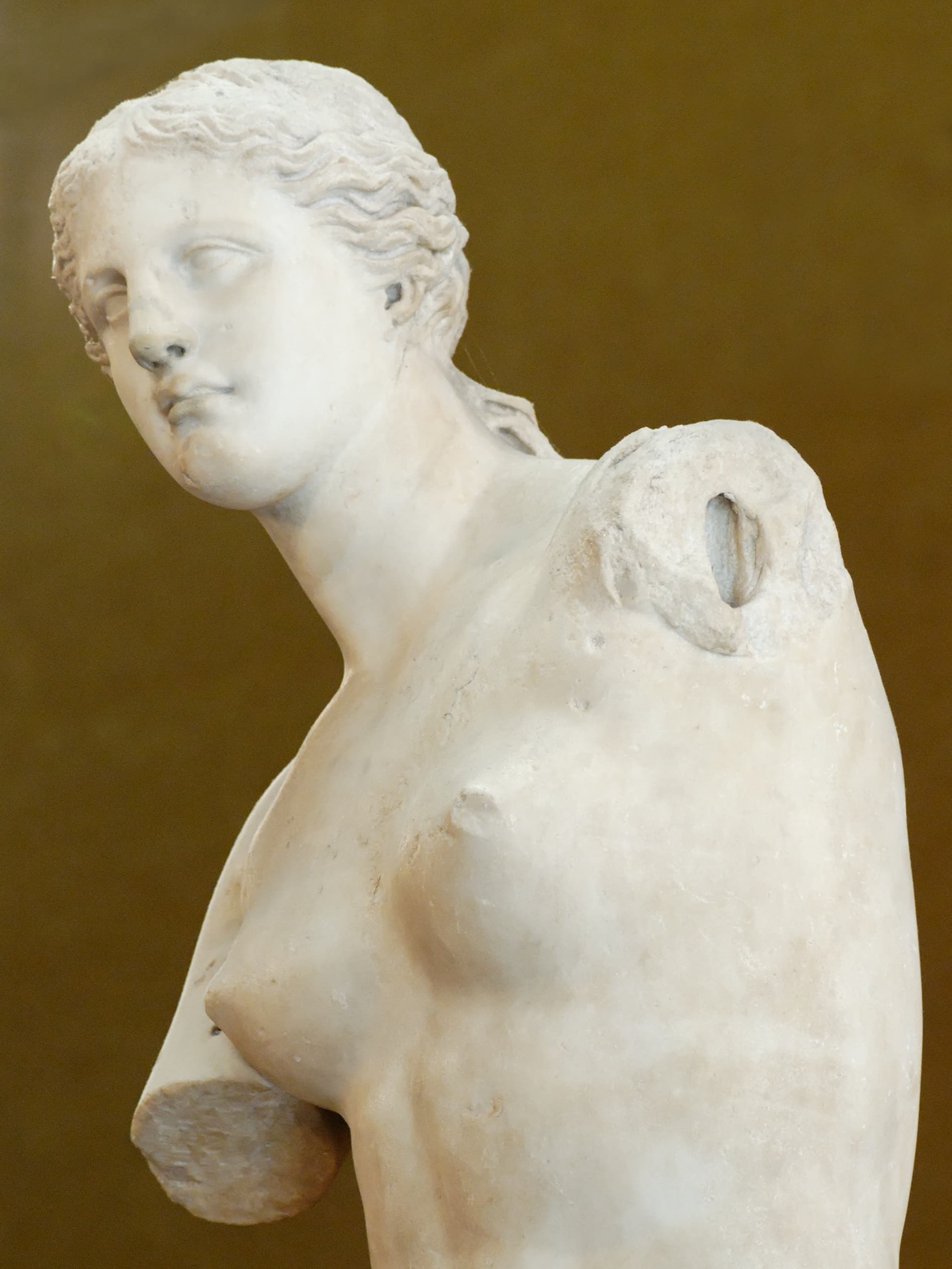 Venus de Milo Louvre Ma399 n13