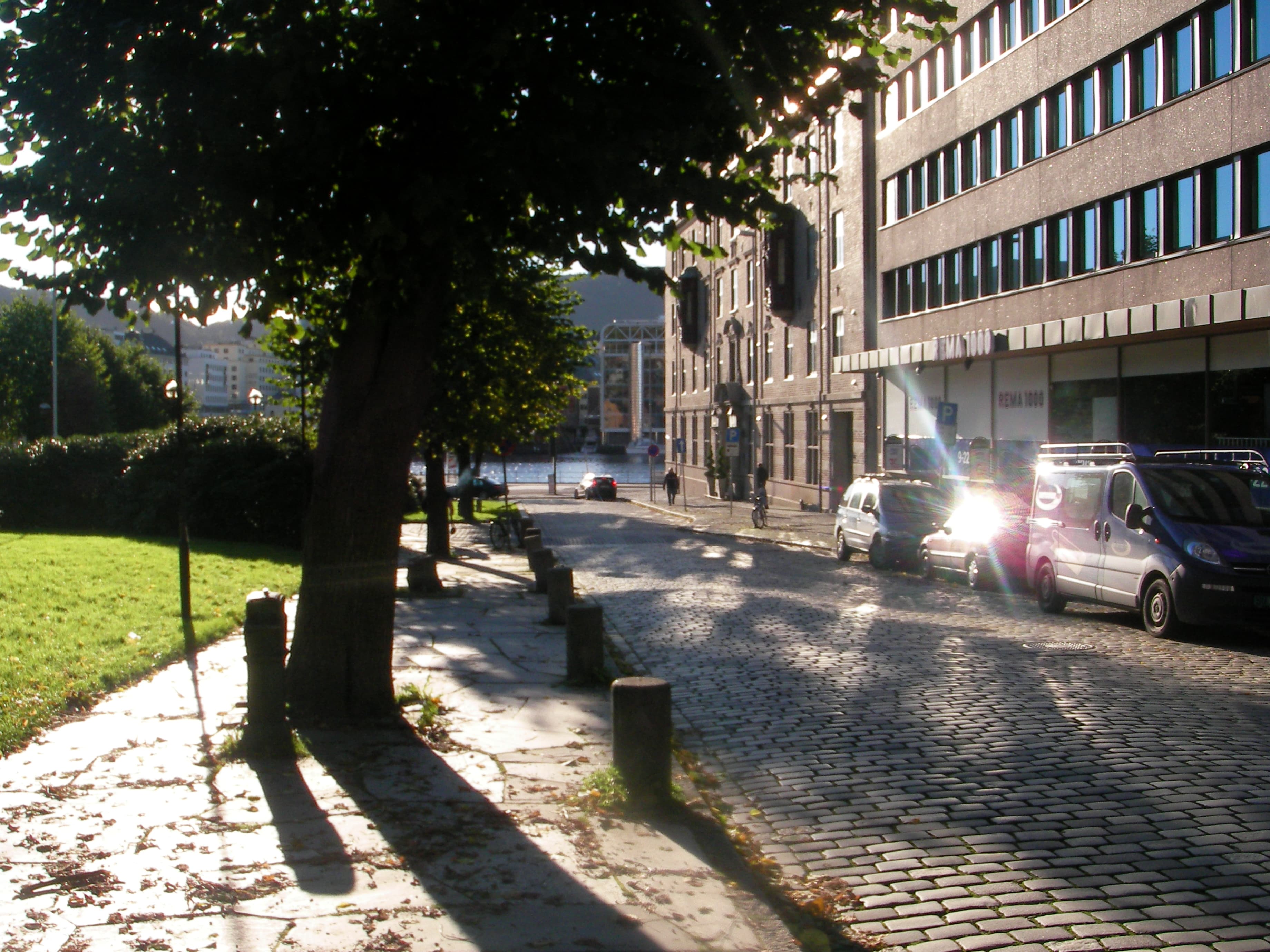 Bergen cobblestone street