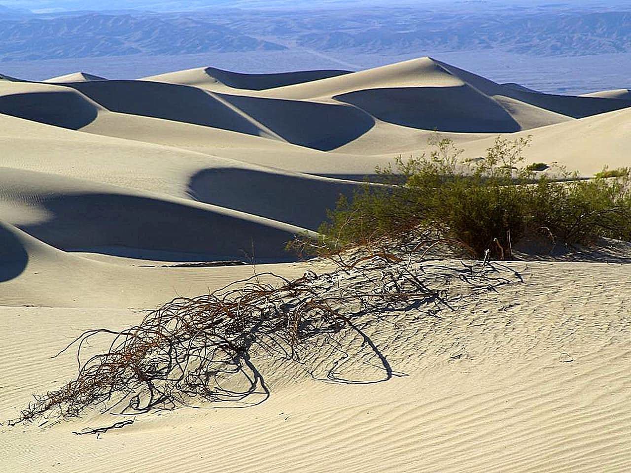 Sand dunes desert