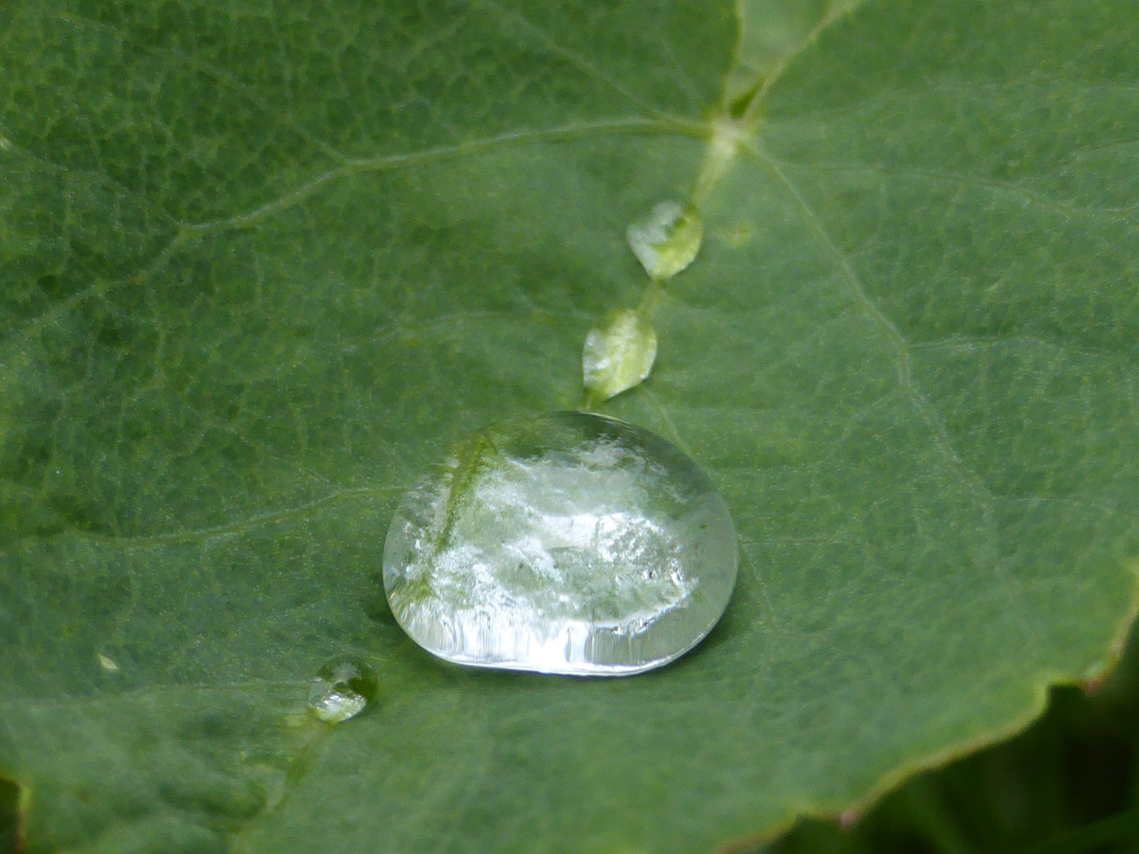 Close, water, droplets