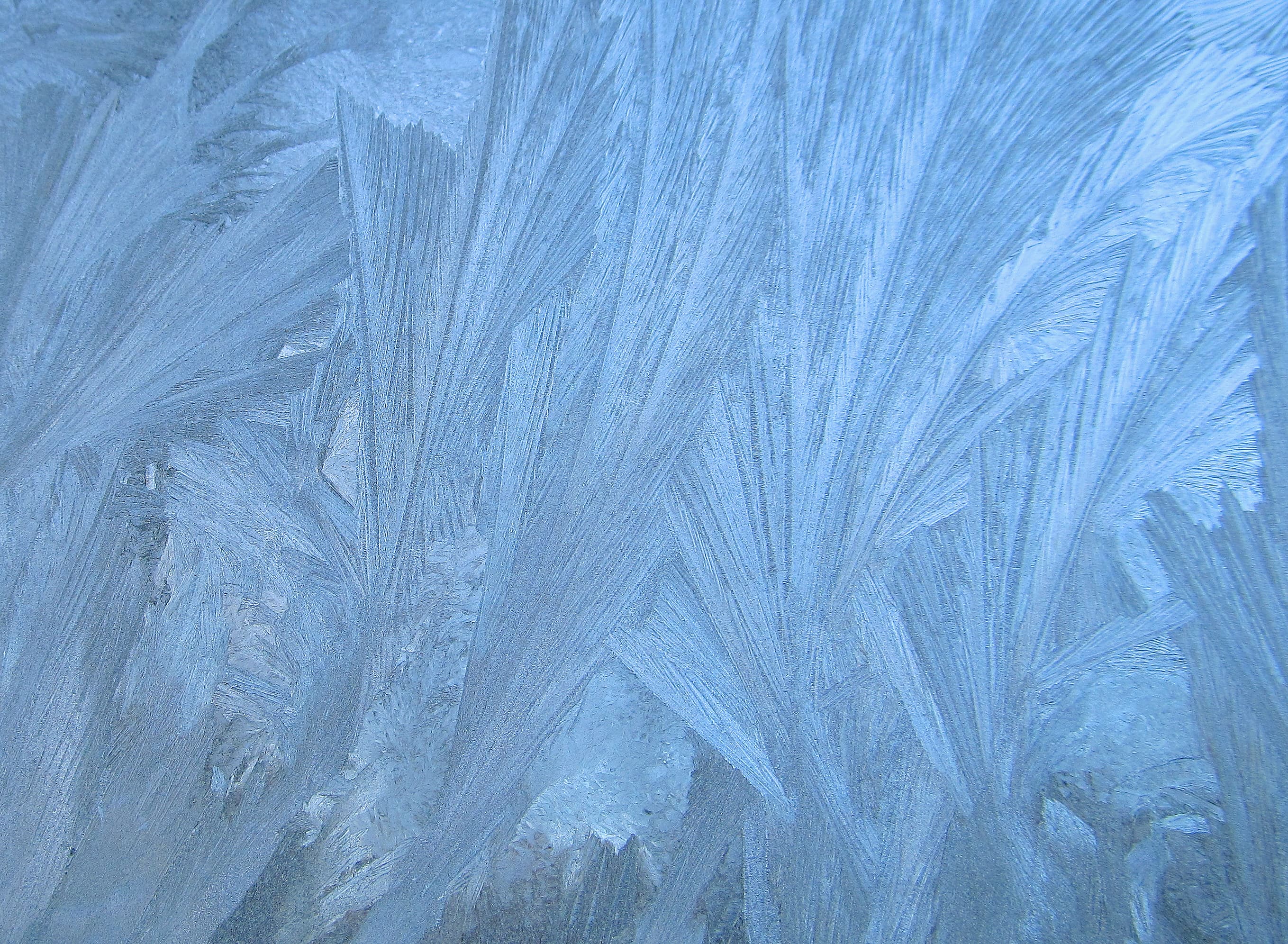 Window frost 2015 02