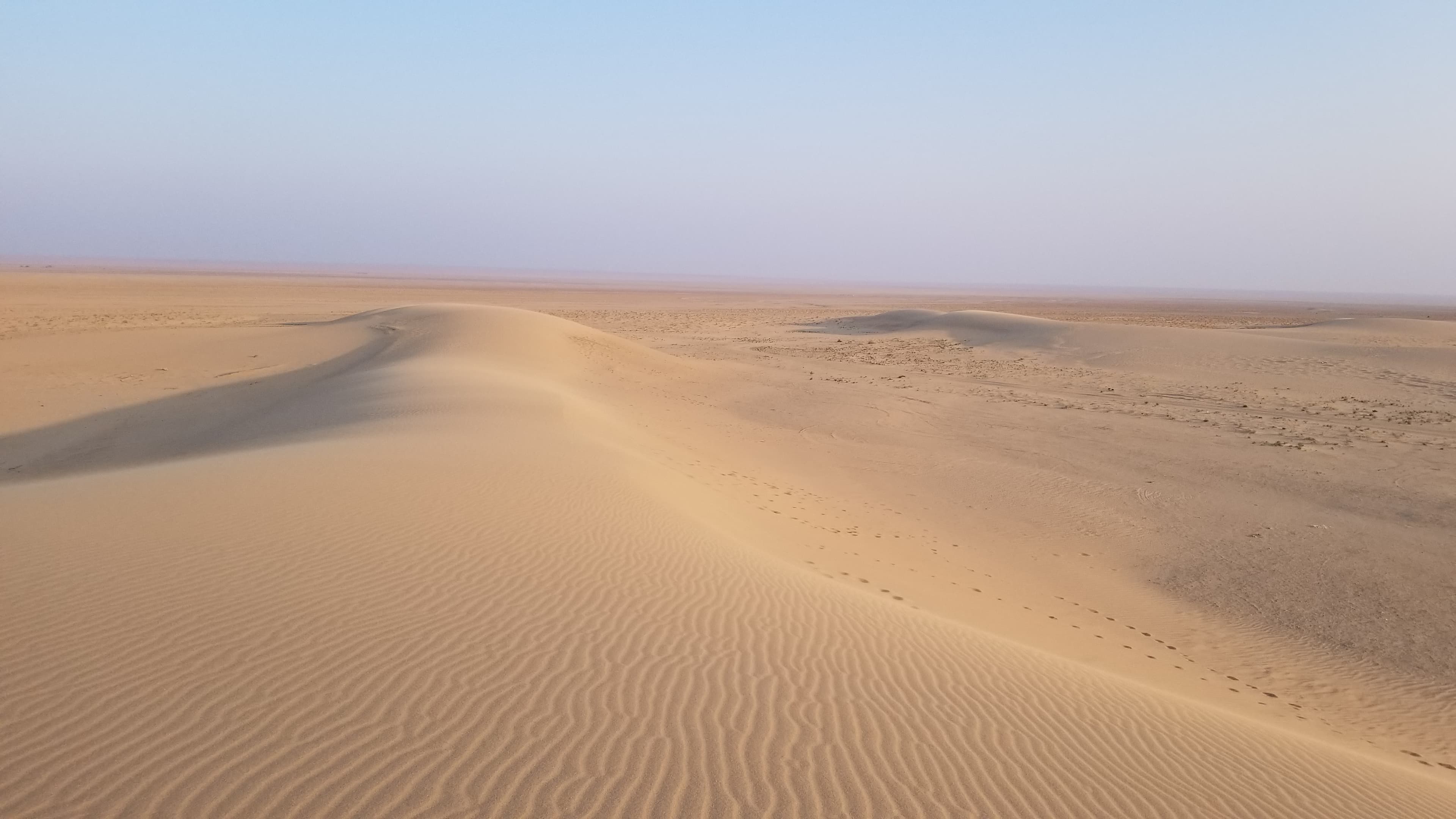 Mongolian Gobi desert dune 112