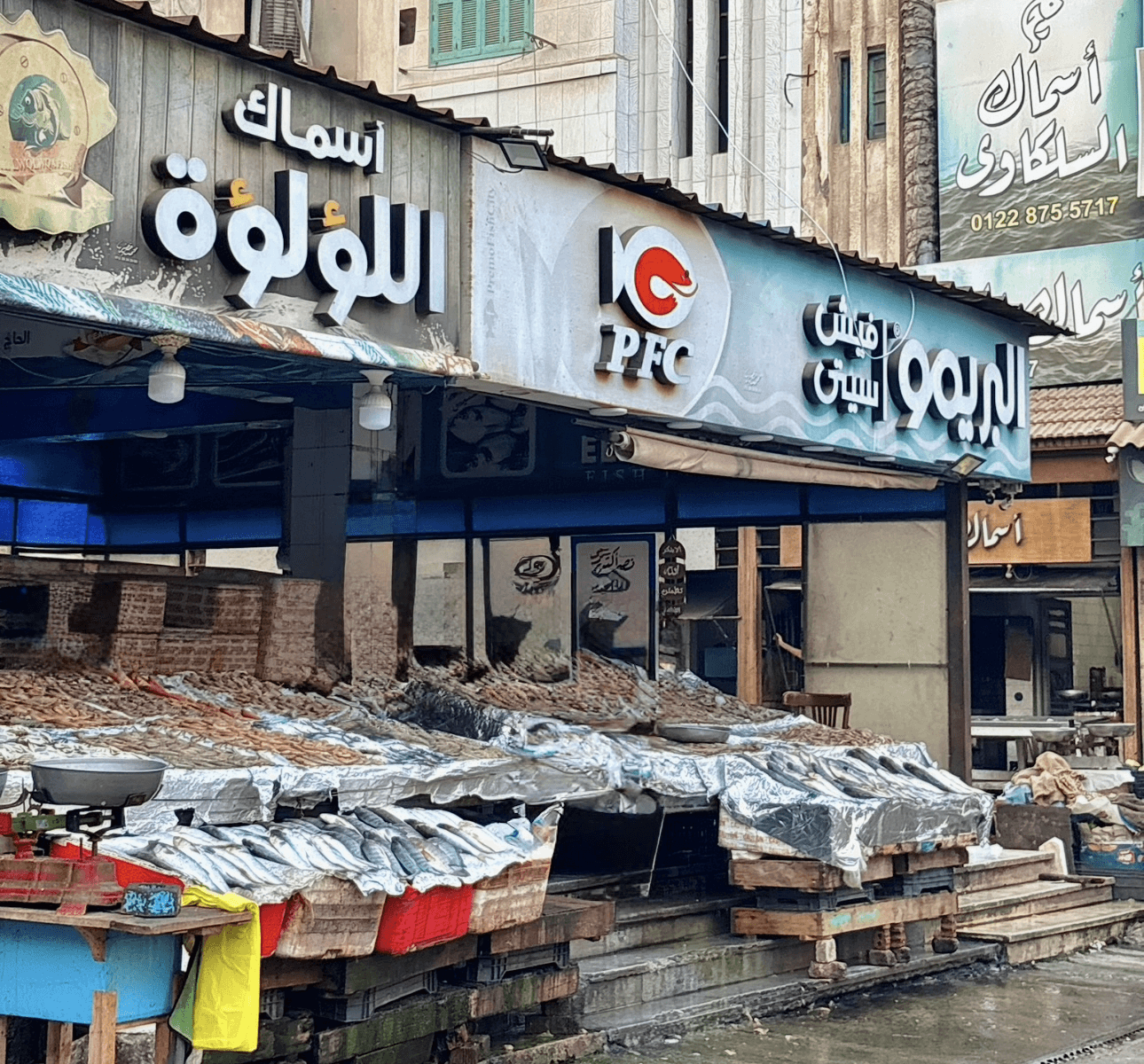 Fish market
