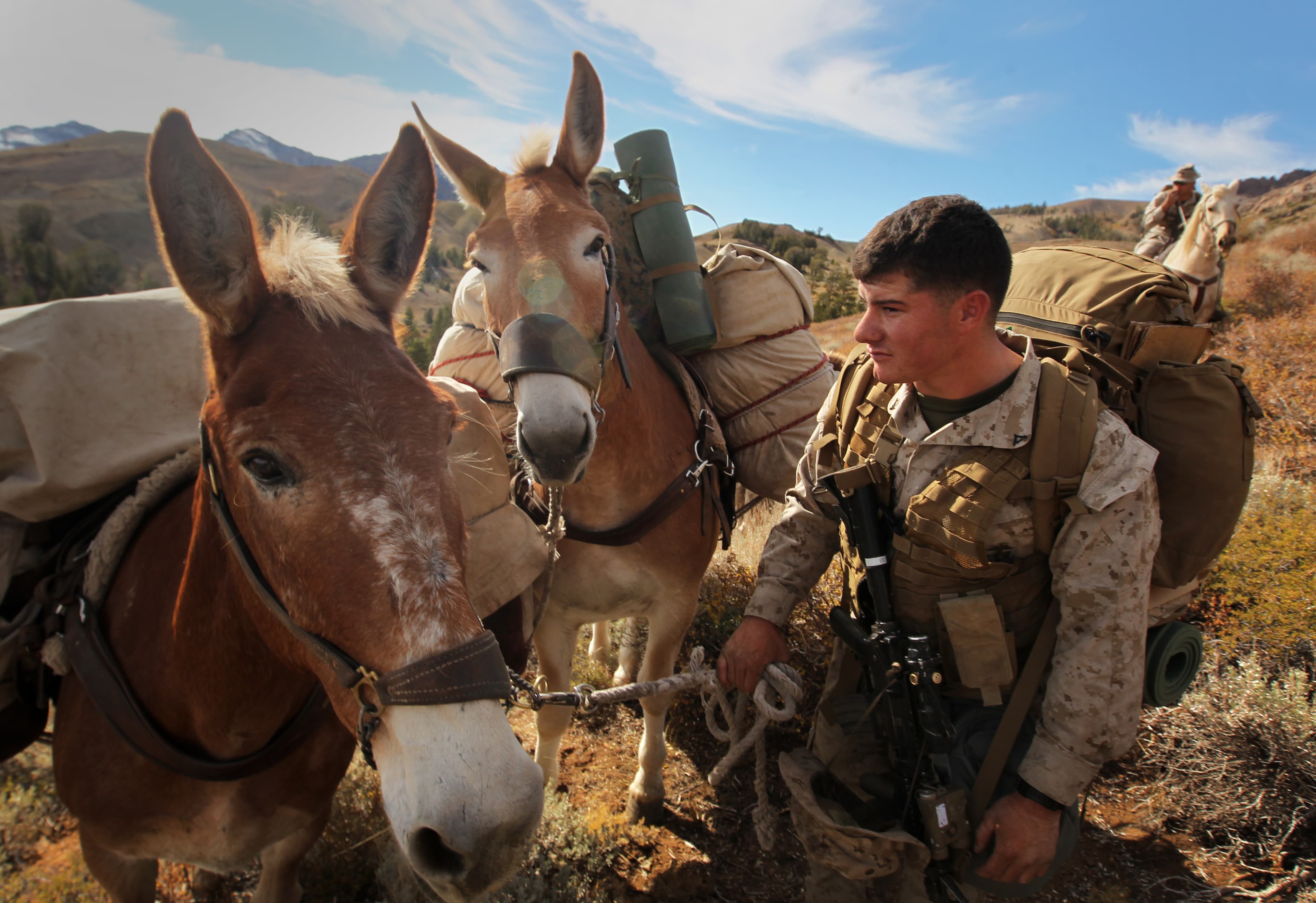A Marine and His Horse (8122275474)
