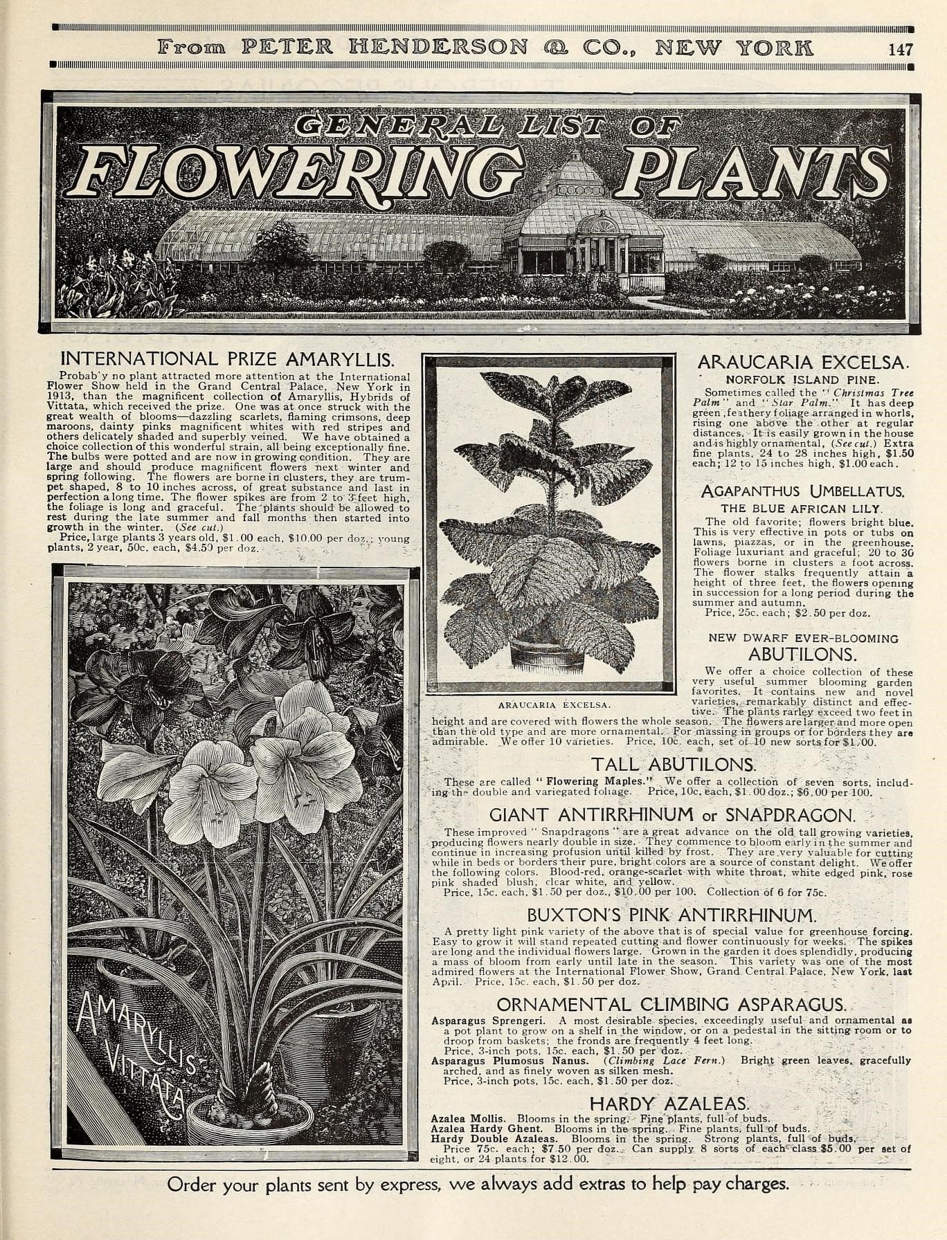 Everything for the garden (15768622364)