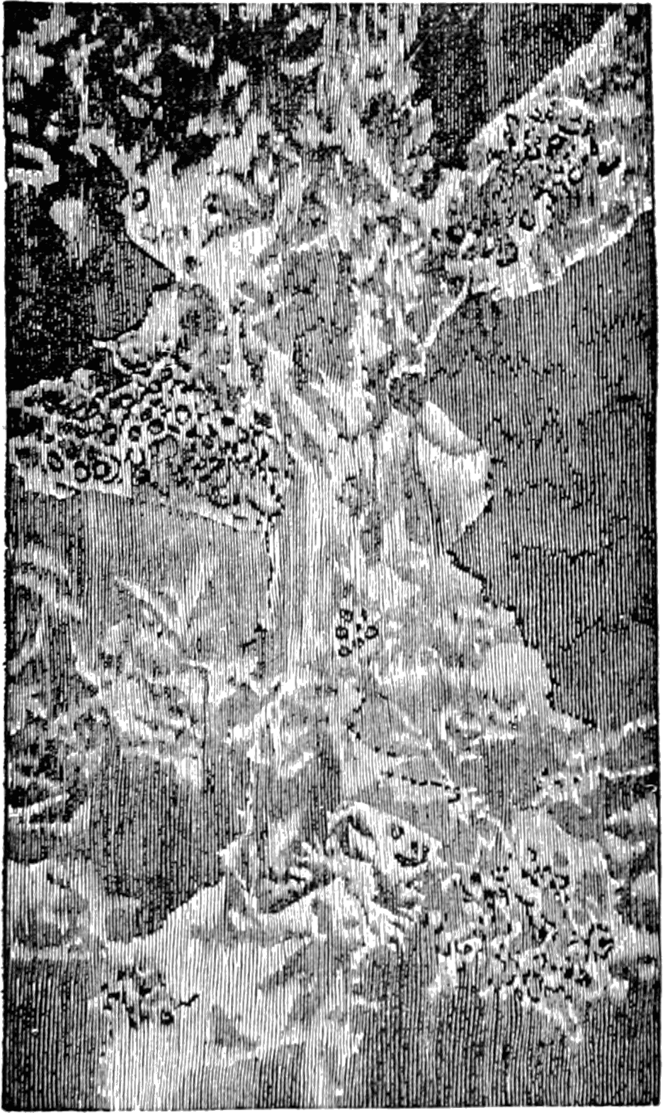 Cyclopedia of Painting-Fig 36