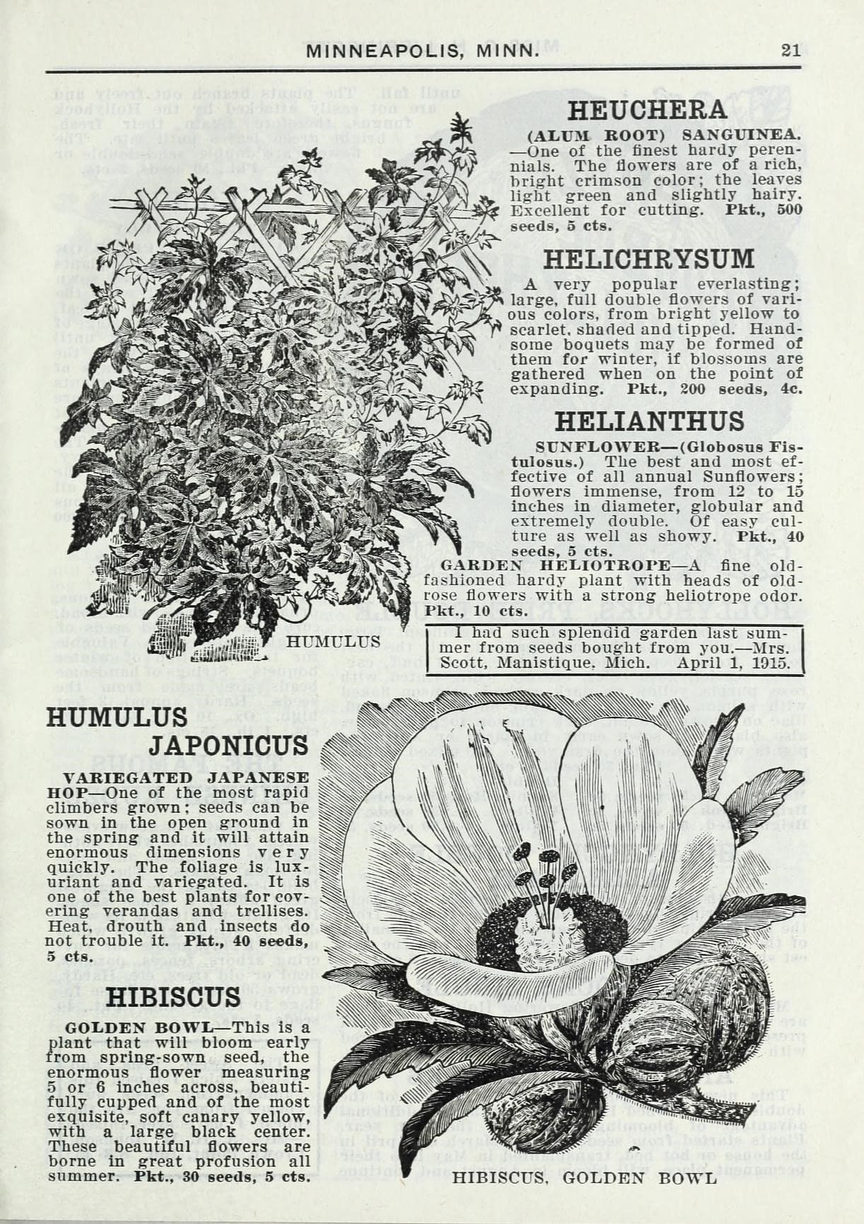 Lippincott seeds (15750961724)