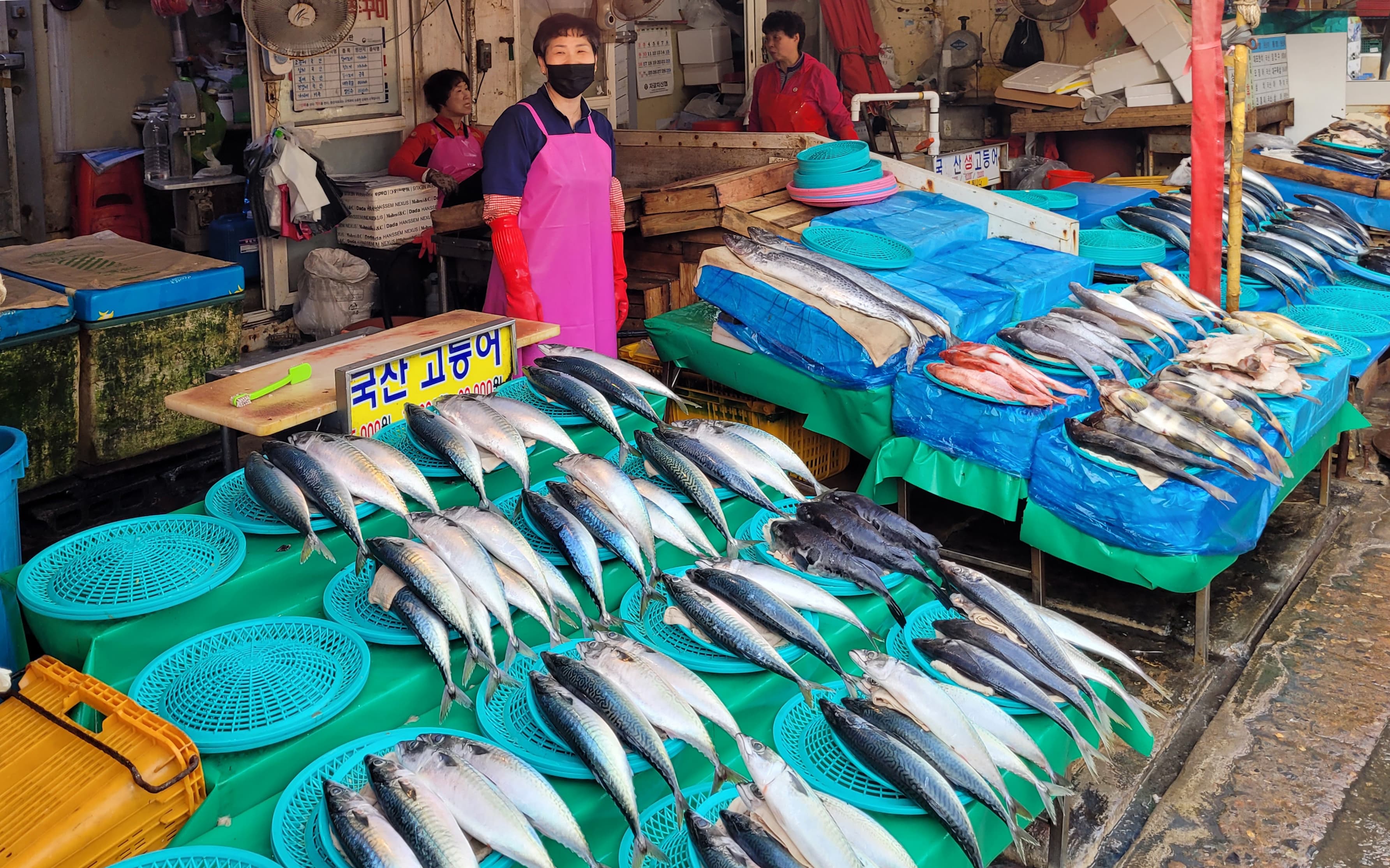 Jagalchi Market 02