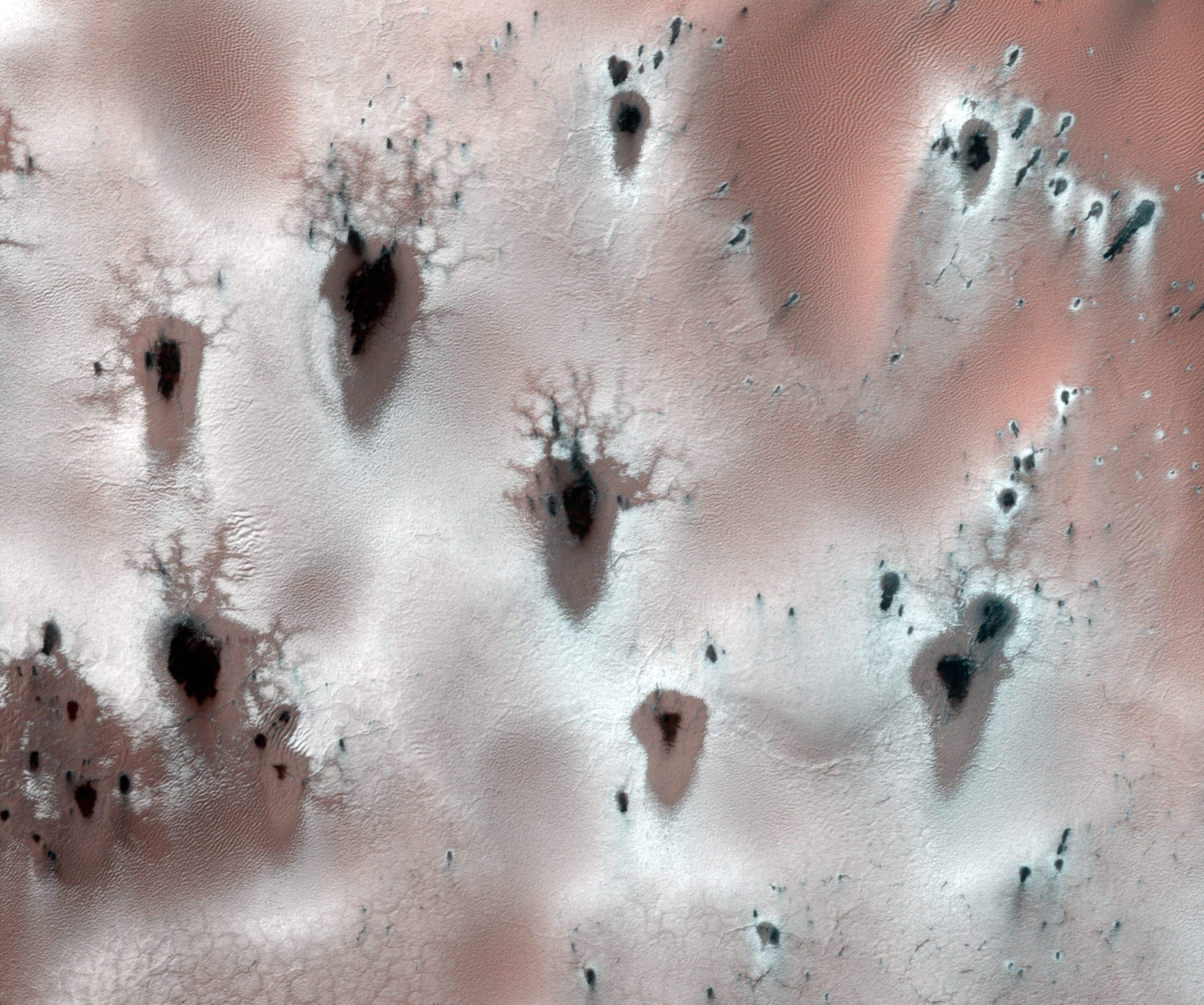 Fractal defrosting patterns on Mars