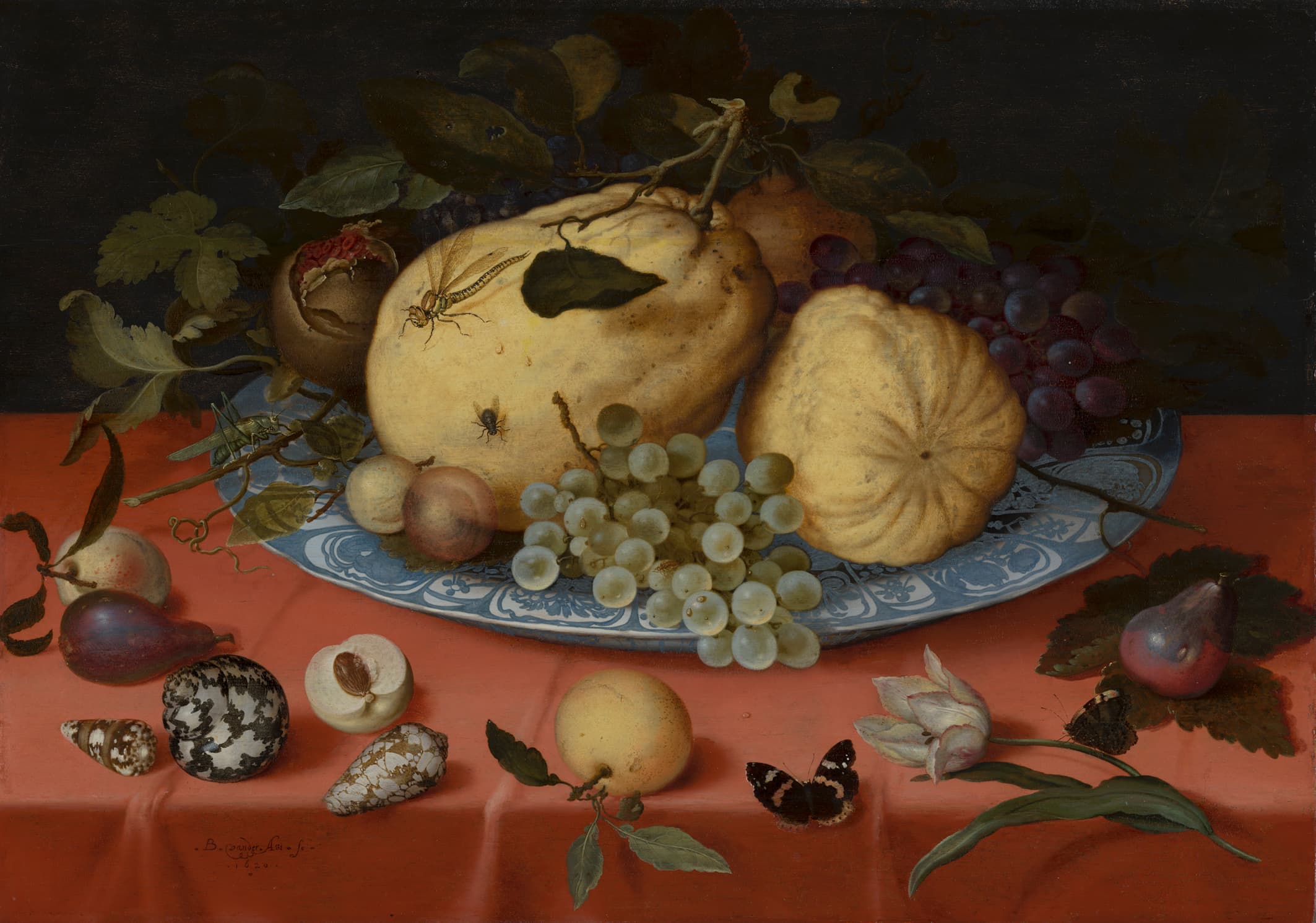 Fruit still life with shells