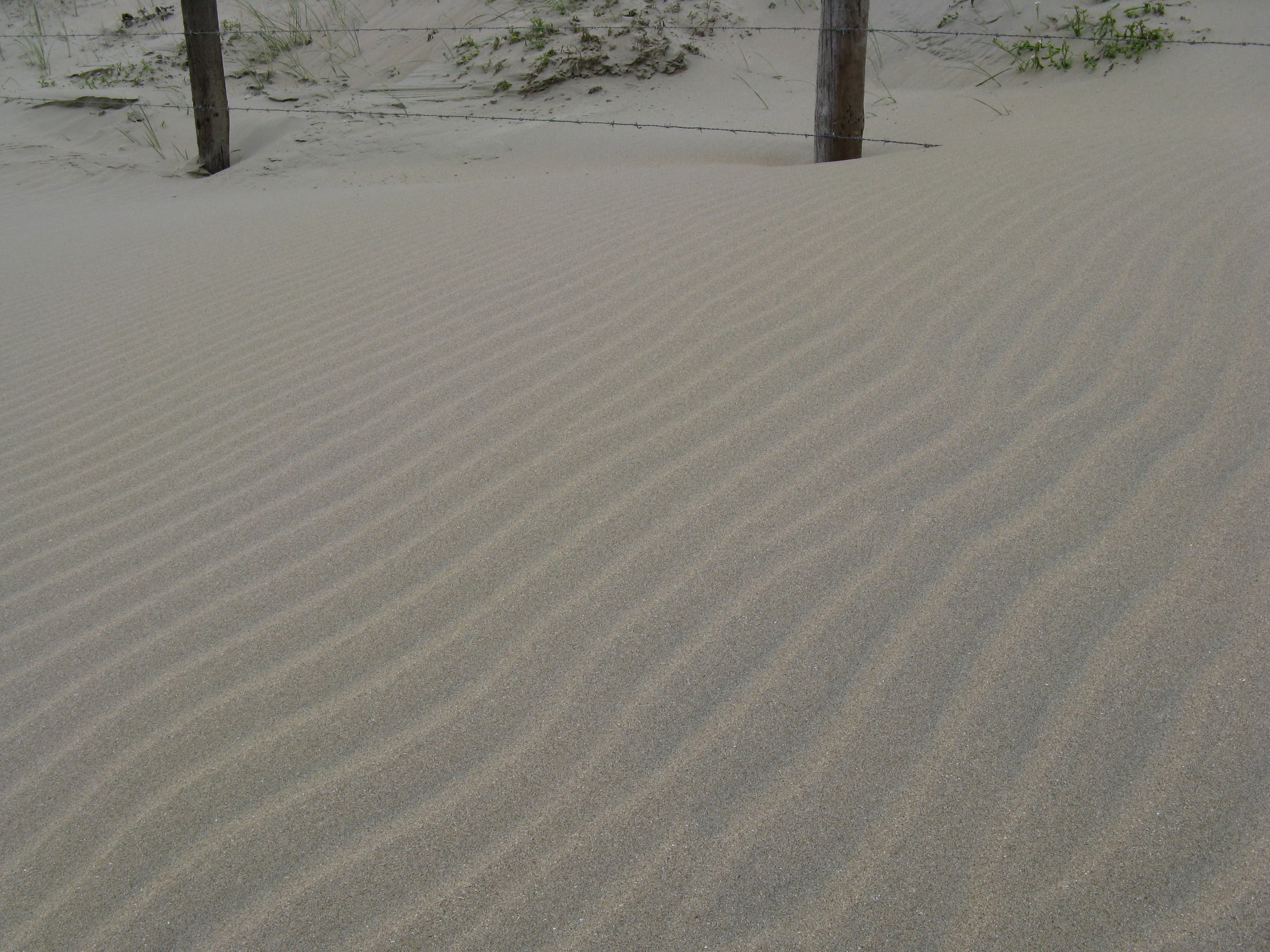 Sand-IMG 3004