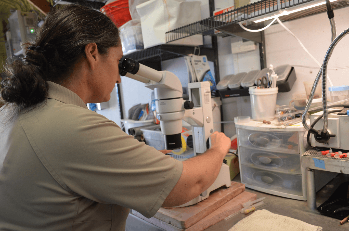Genoa NFH biologist microscope 1 September 2023