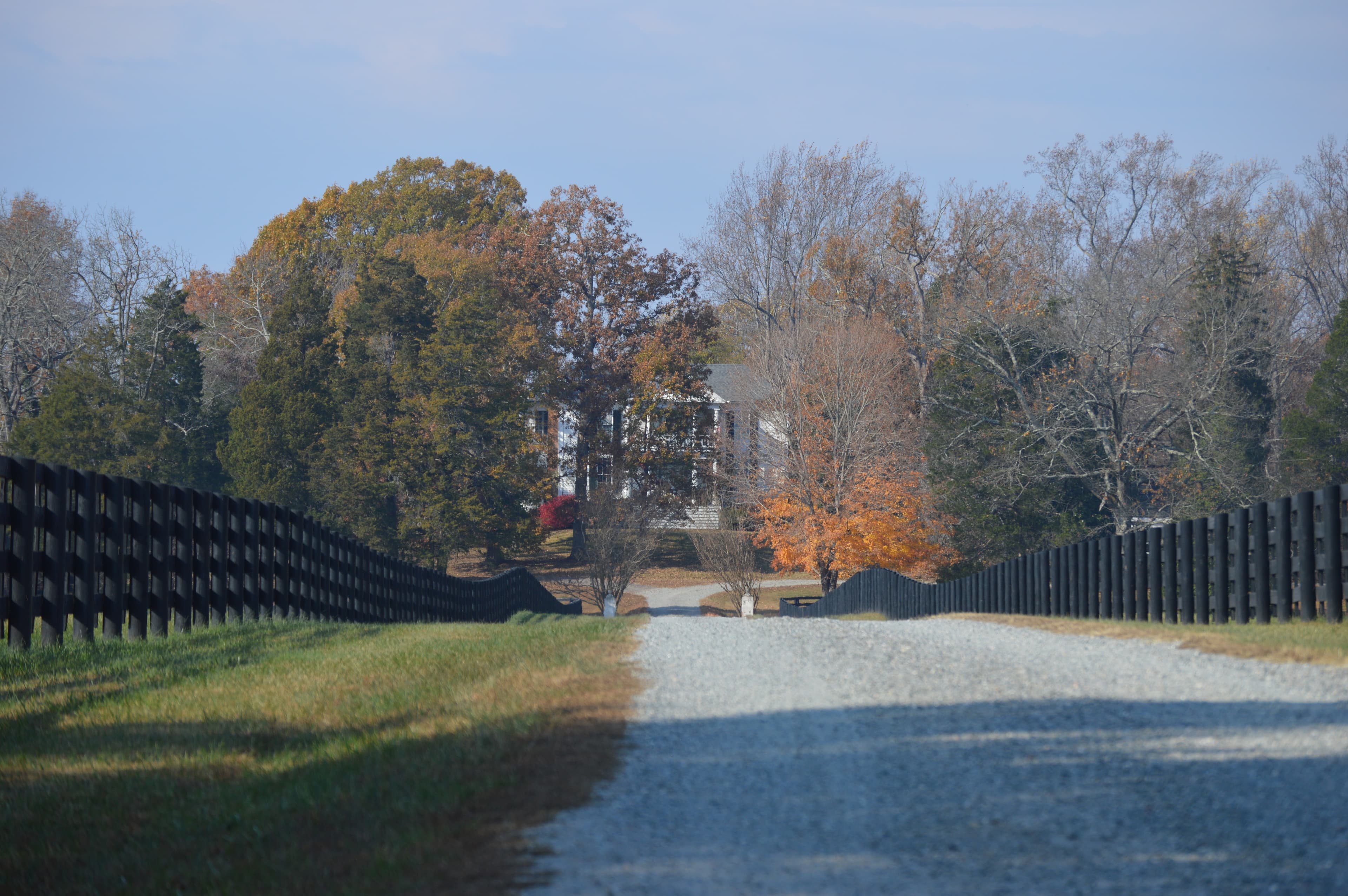 Gravel Hill and gravel driveway