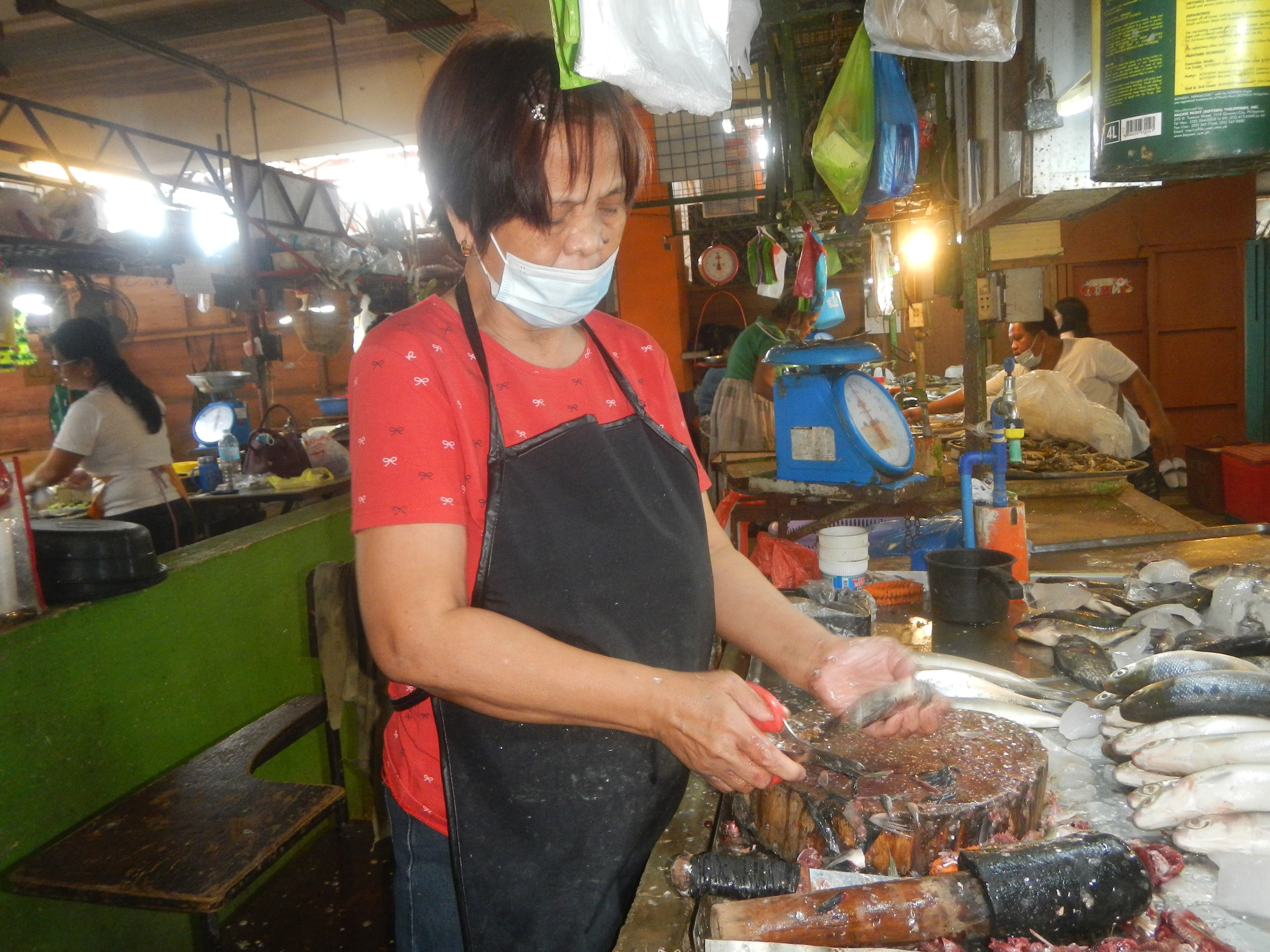 9831Hagonoy, Bulacan Town Proper 39
