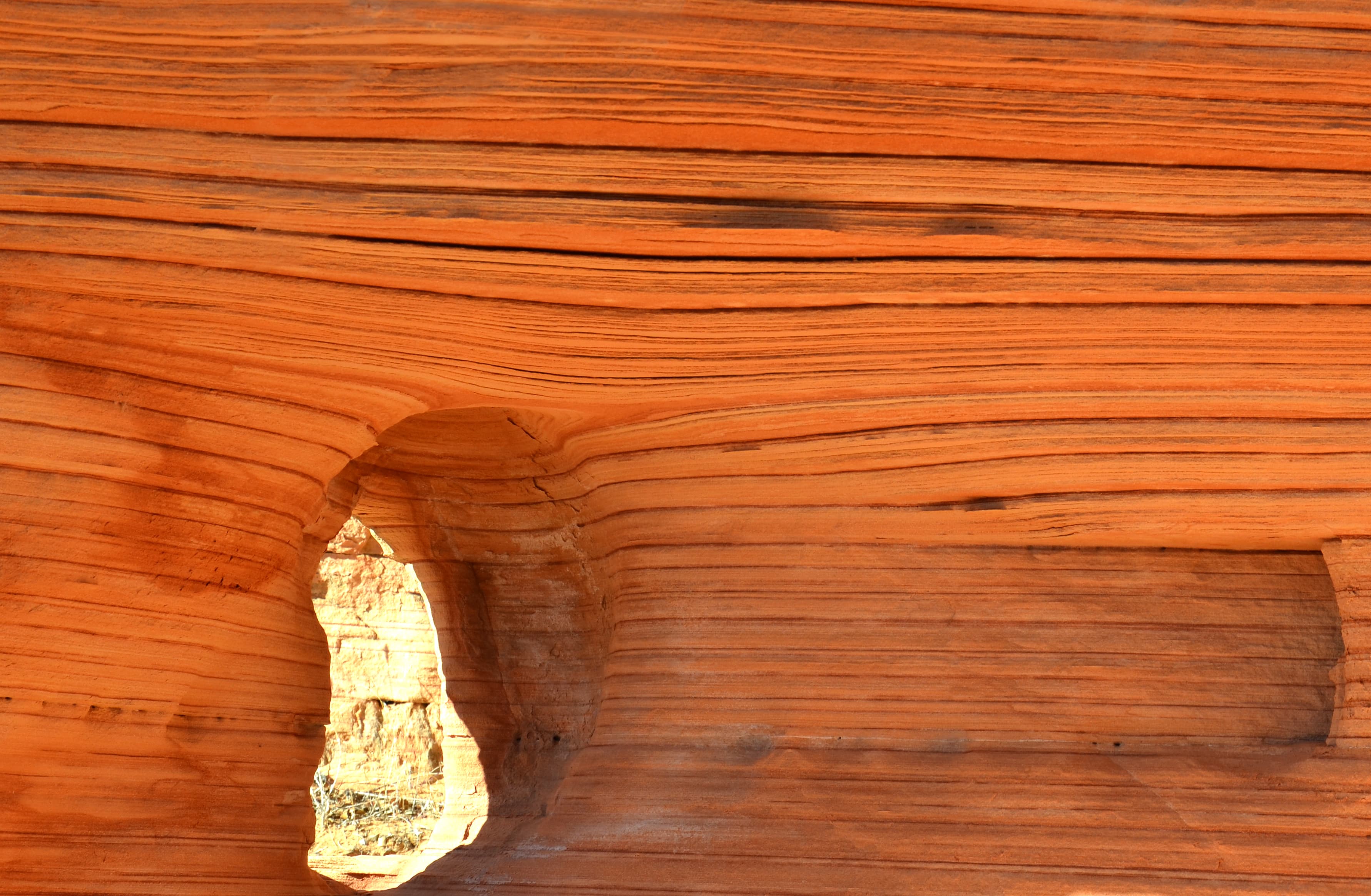 Yellow Knolls (34308954395)