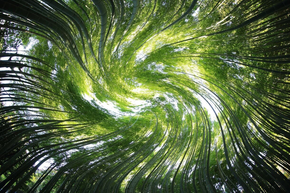 Spiral Forest PRIME