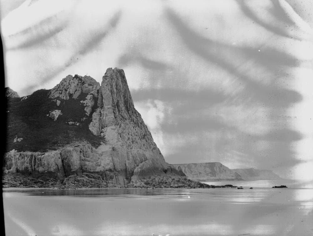 Coastline (1294018)