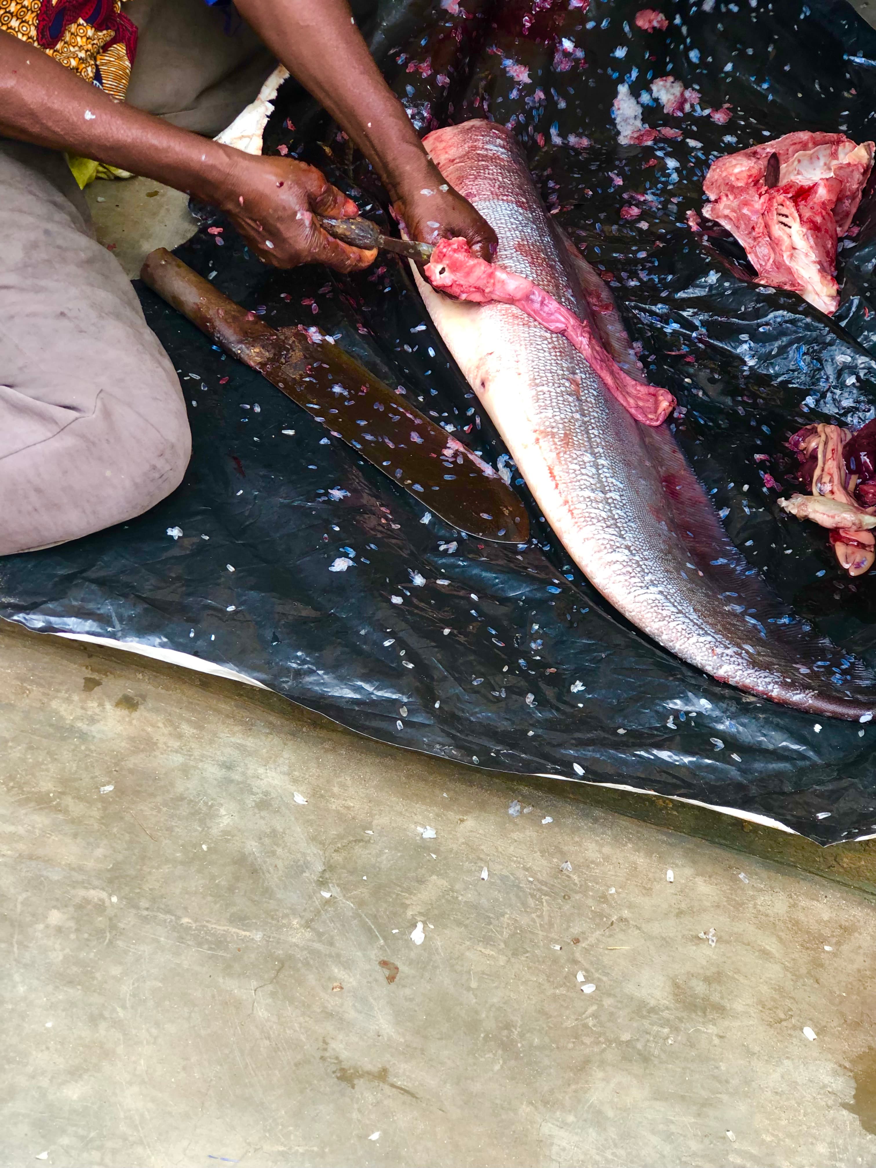 A woman cutting fish