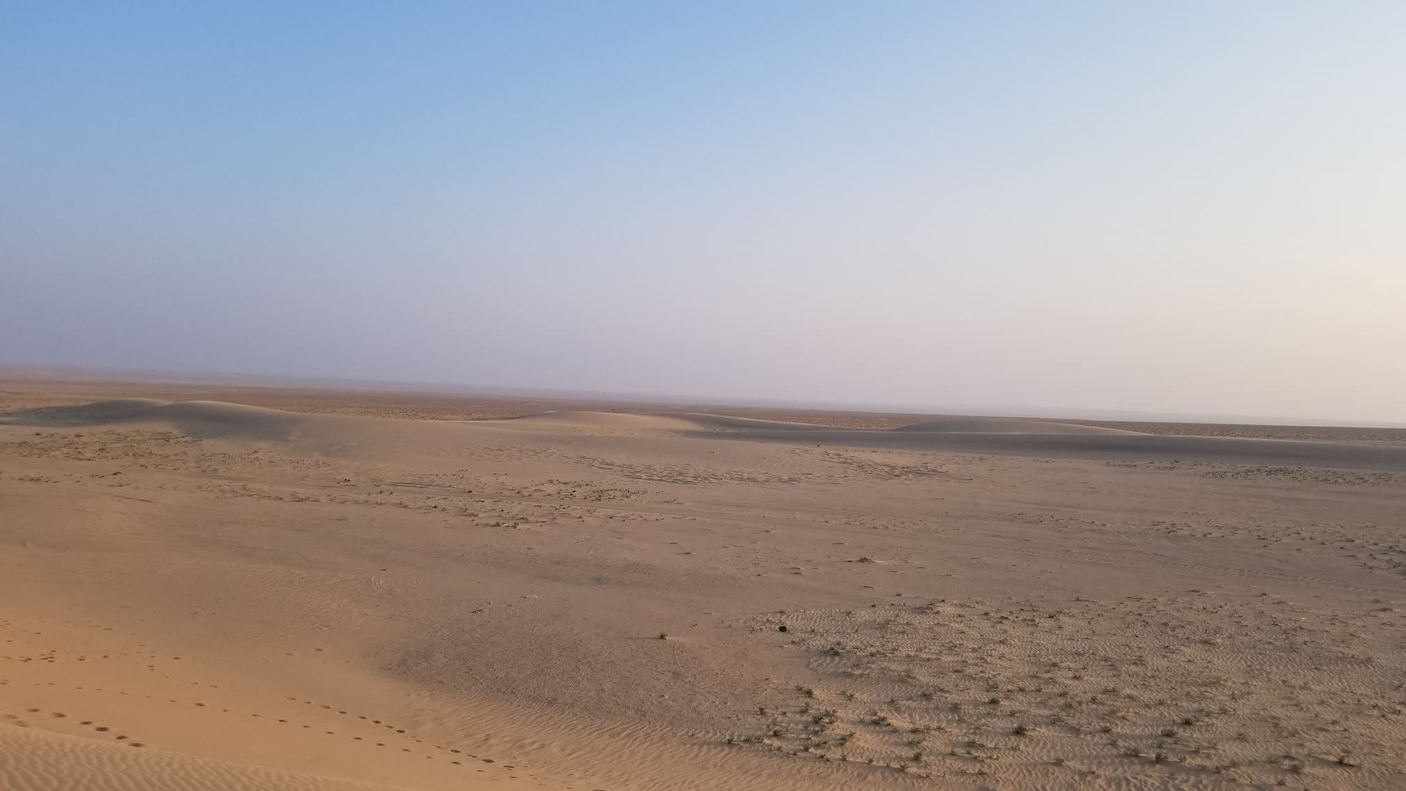 Mongolian Gobi desert dune 8