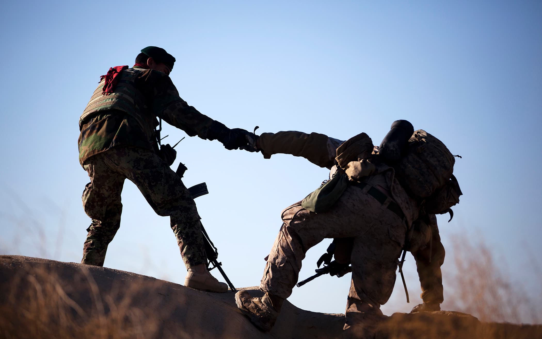 Working Hand-in-Hand (6838213875)