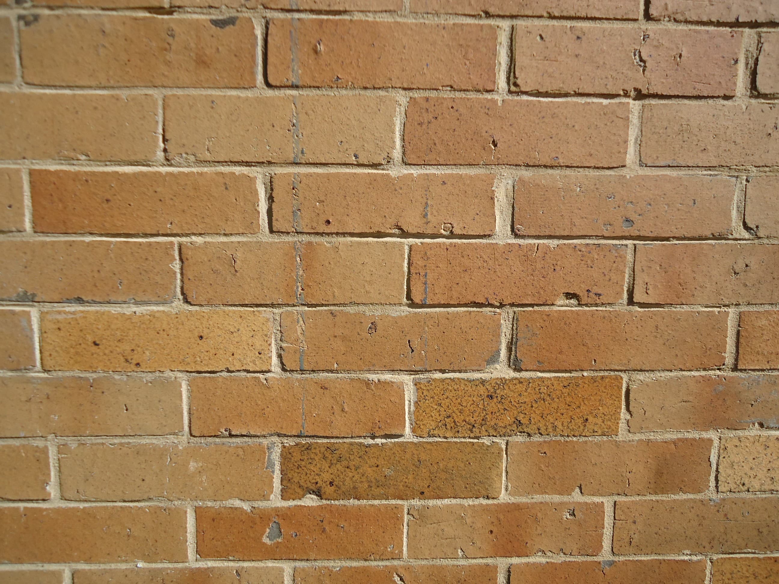 Surfaces vertical brick wall closeup view