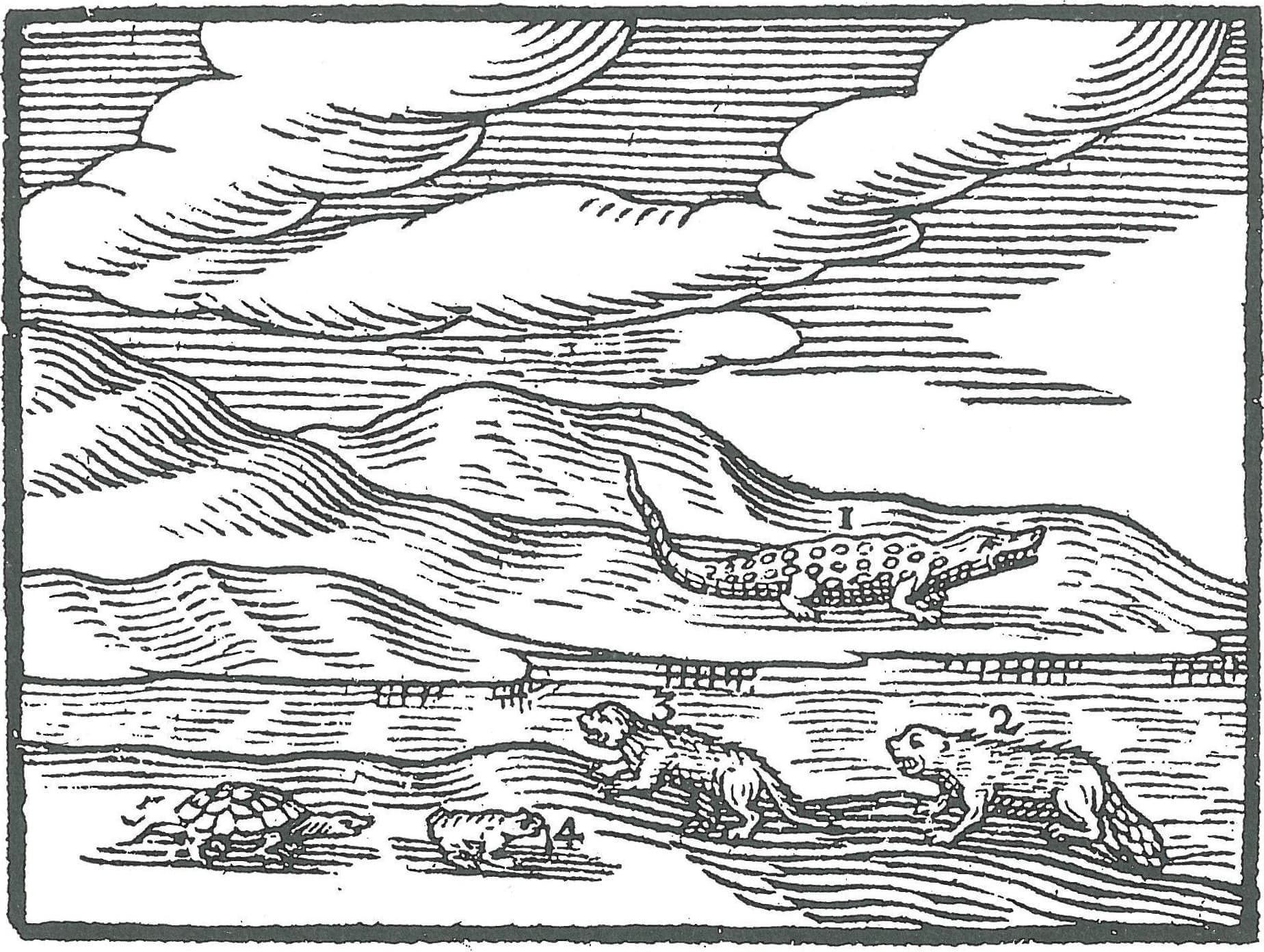 OrbisPictus b 068