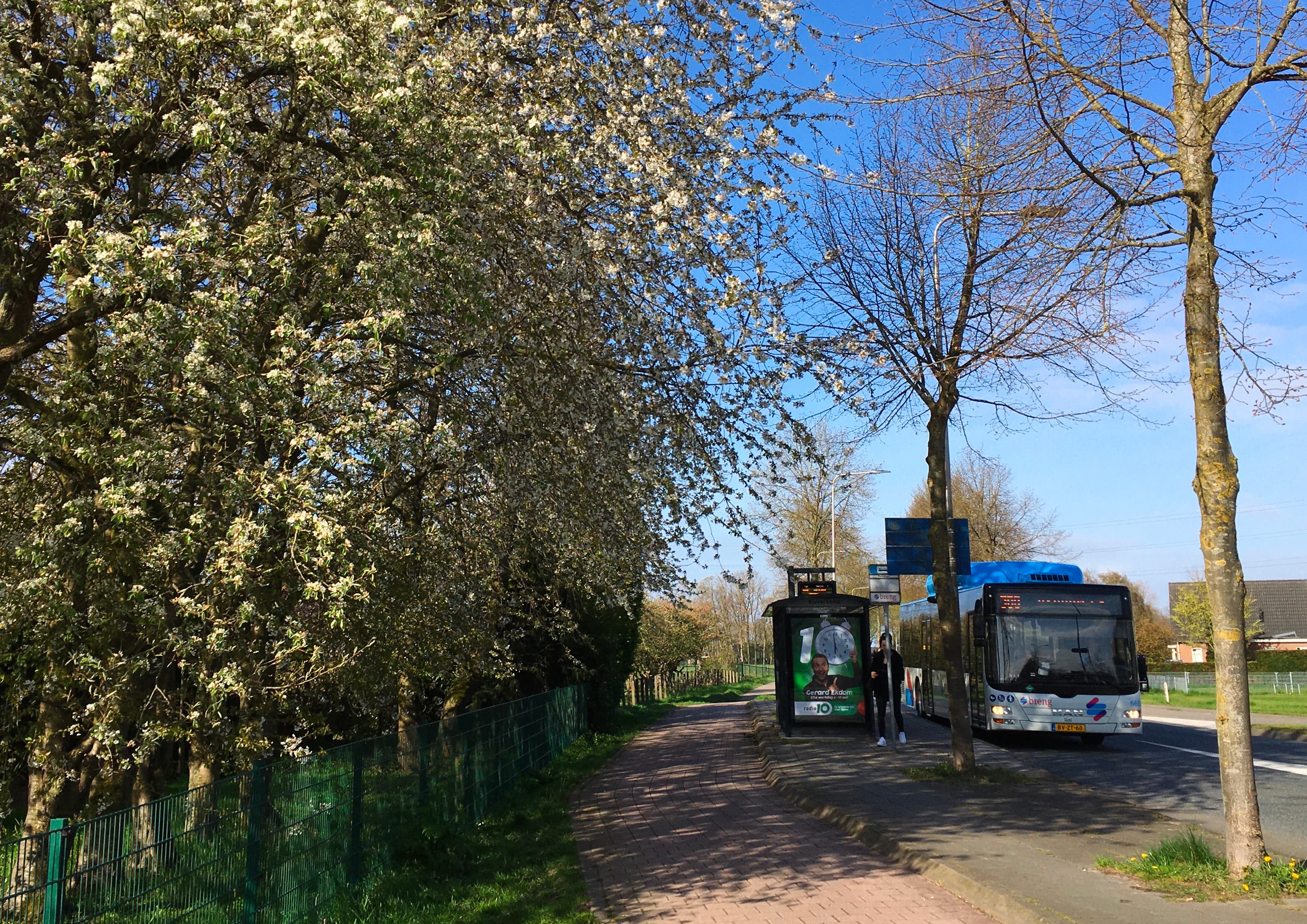 Bus stop in Bemmel