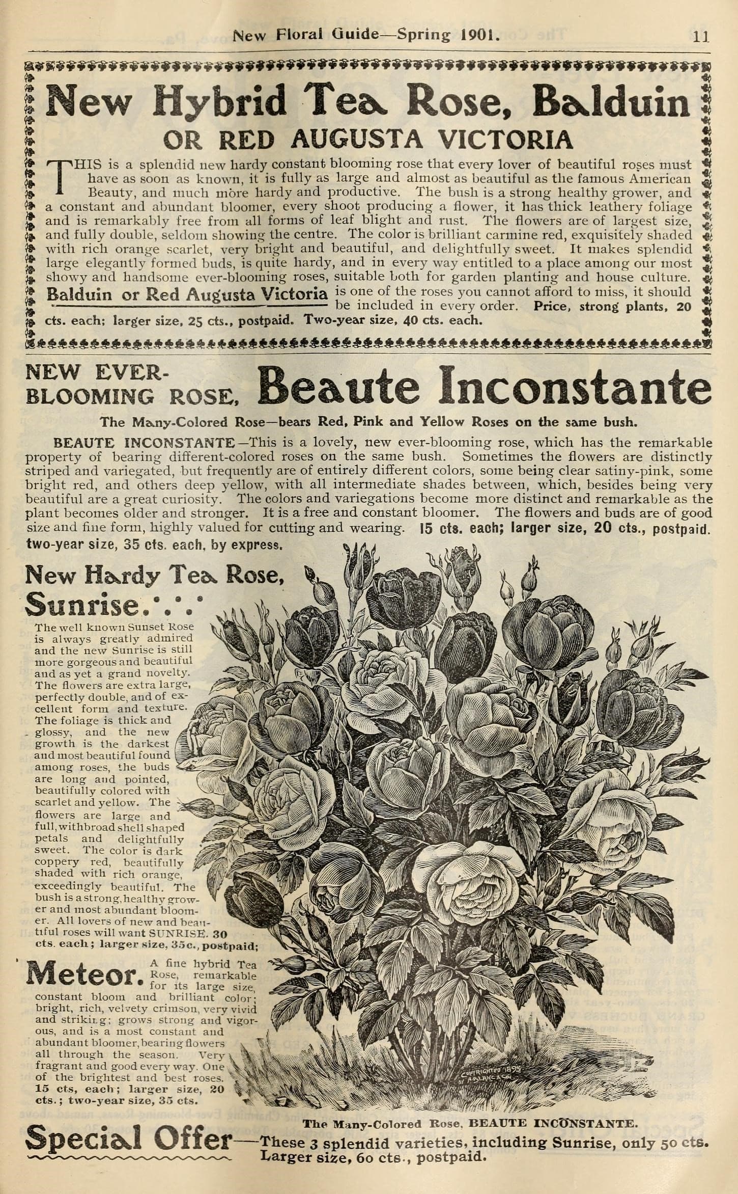 New floral guide (16243180693)
