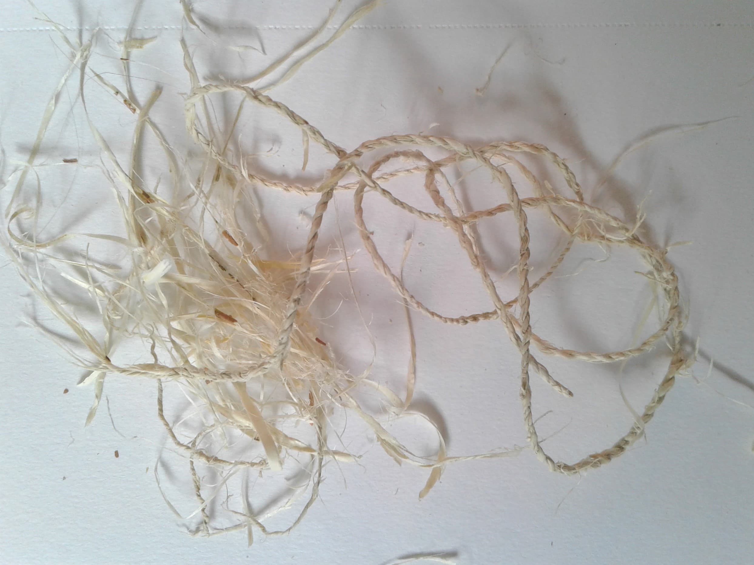 Unfinished tree bark cordage