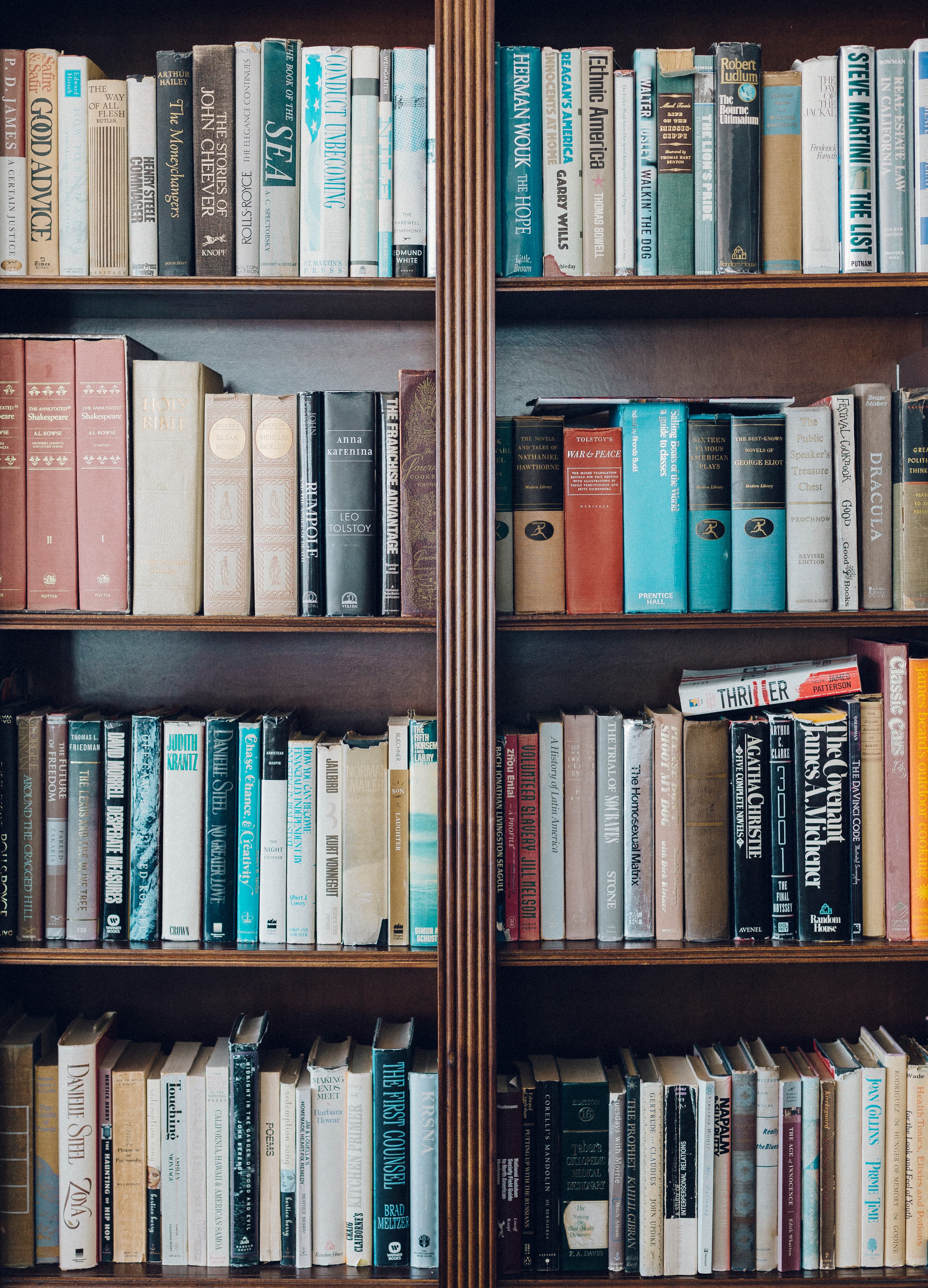 Classic literature bookcase (Unsplash)