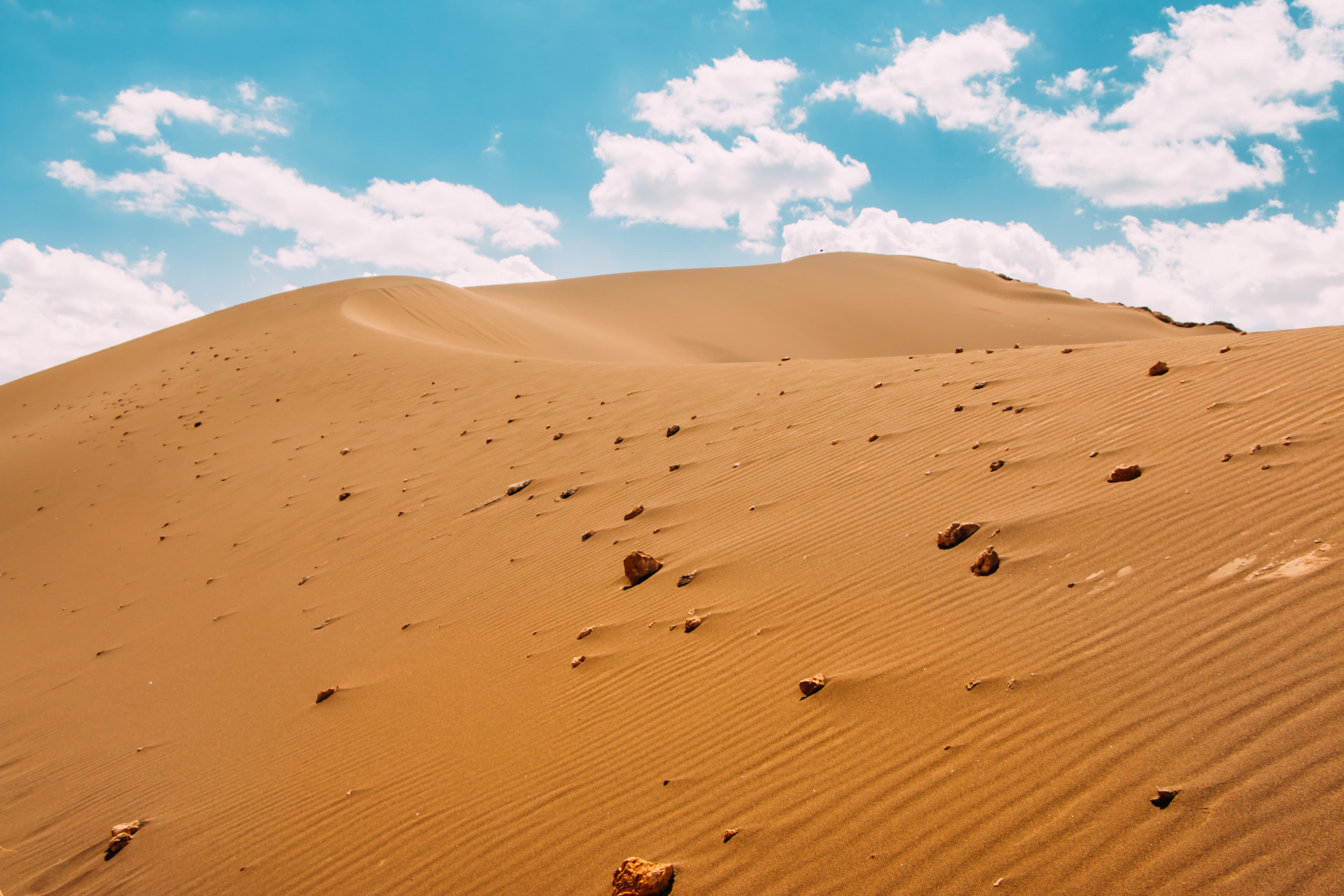 Patterns in Desert Sand (Unsplash)