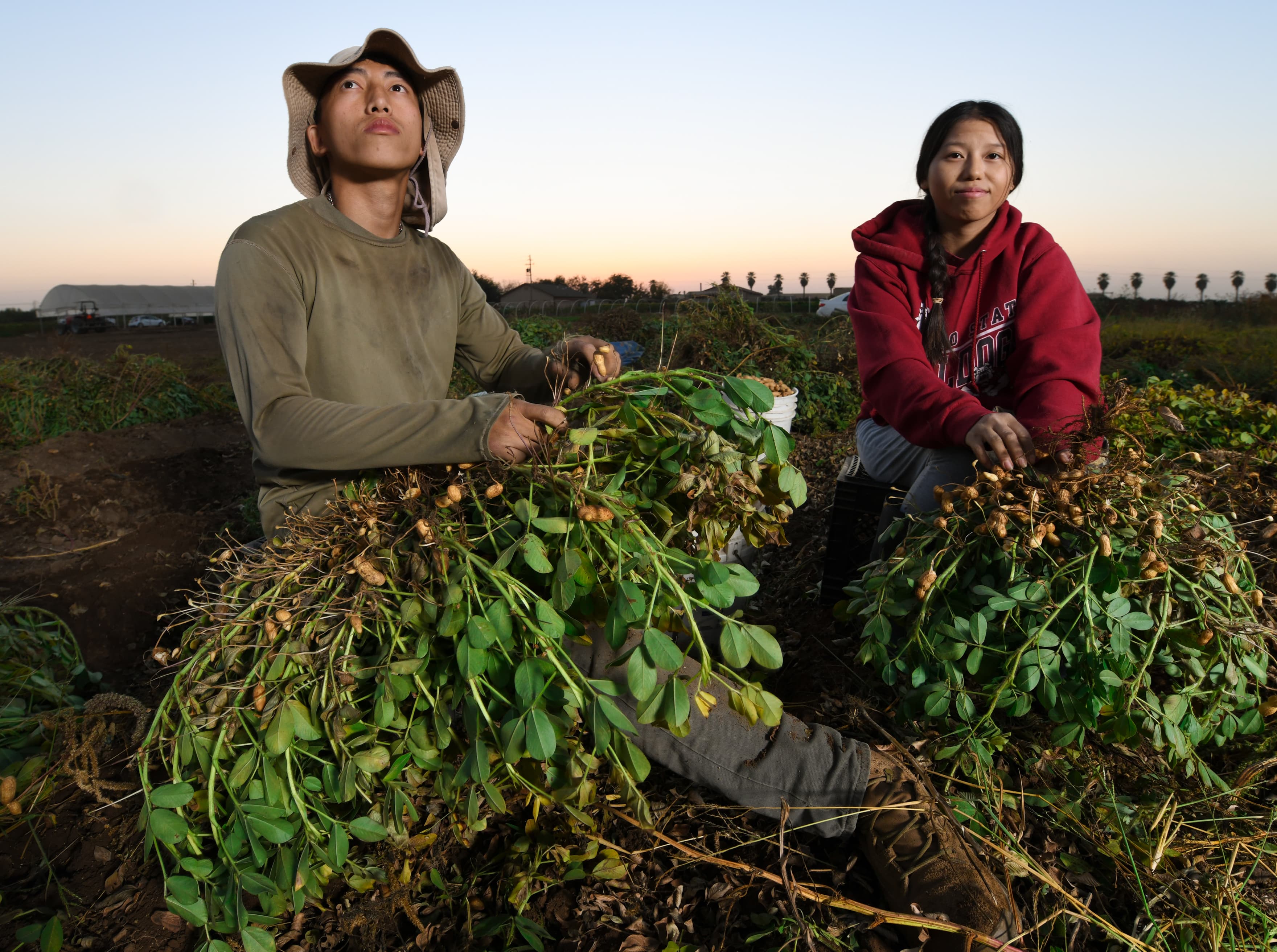Vue Her and family harvesting peanuts