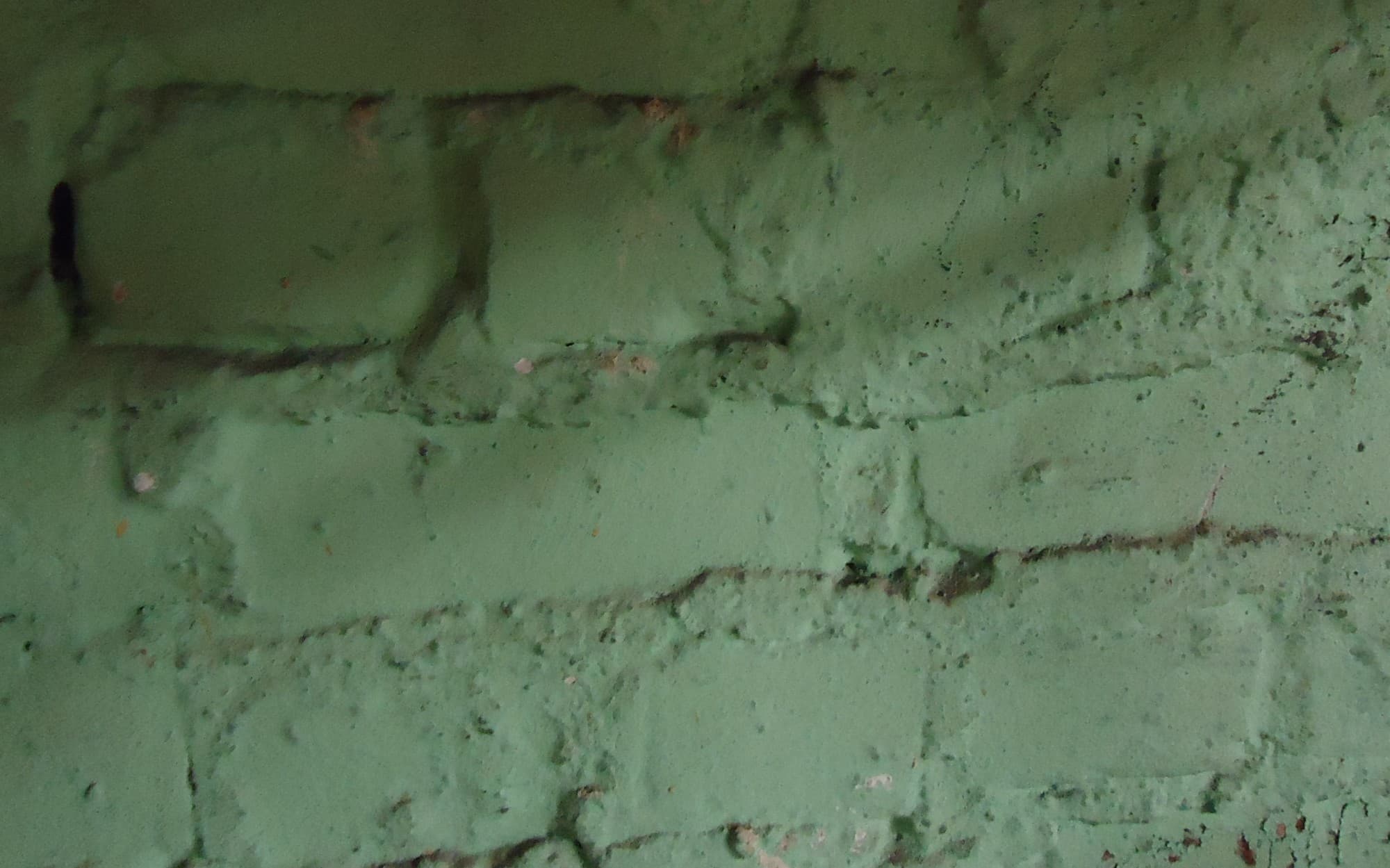 Surfaces painted brick in a basement