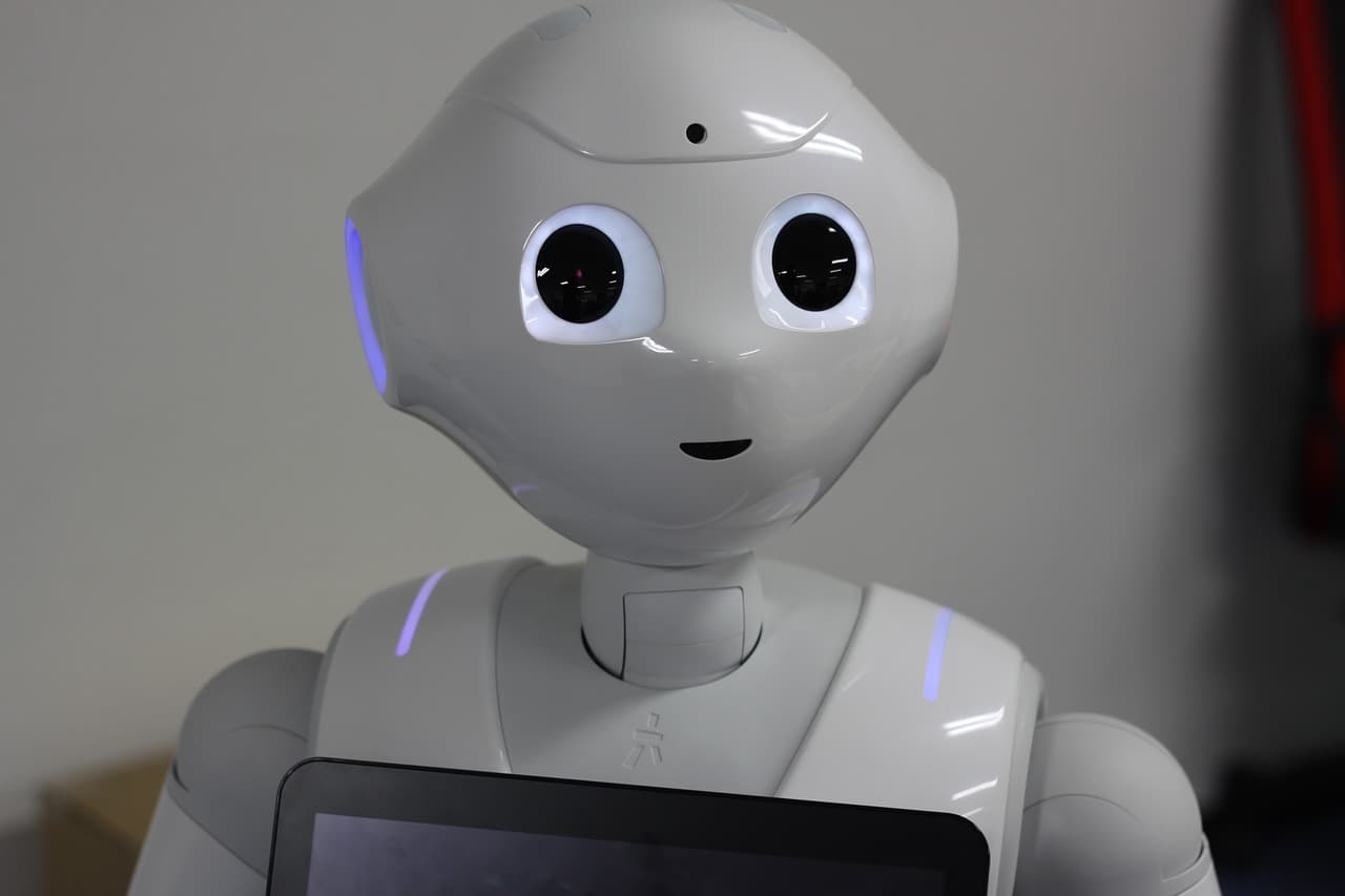 Robot pepper