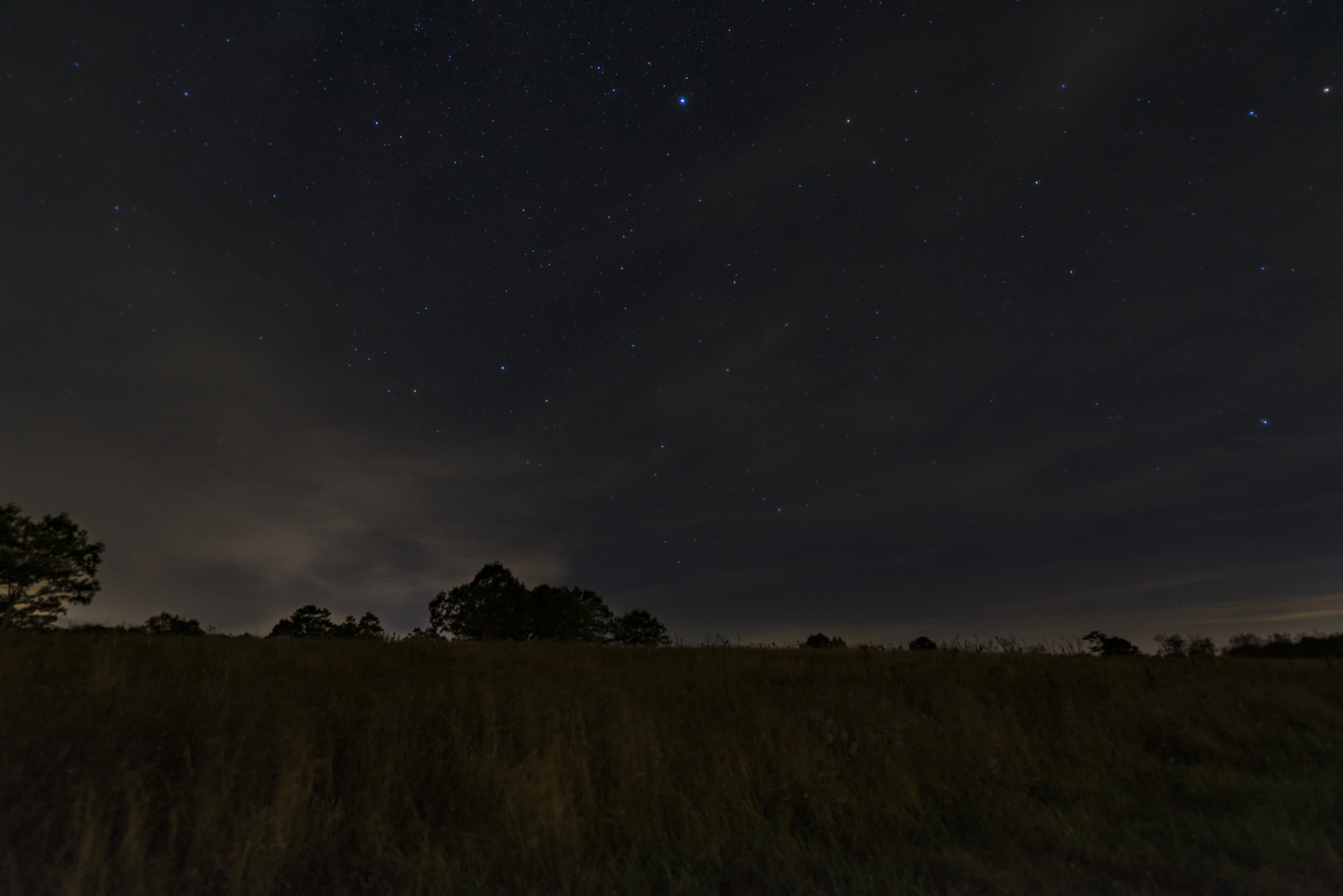 Night Sky Over Big Meadows (51834370543)