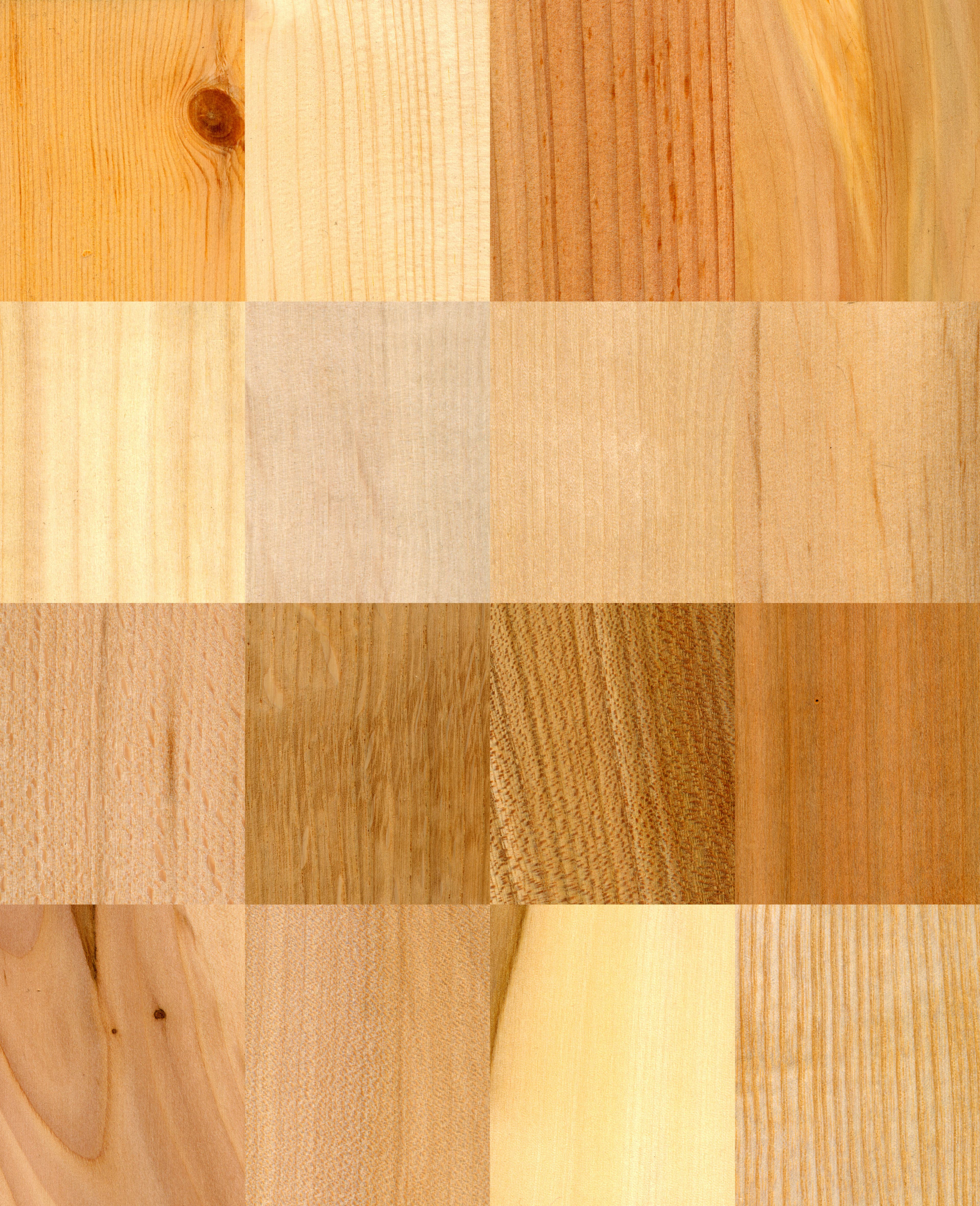 16 wood samples