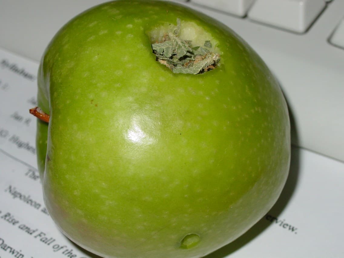 Apple bowl