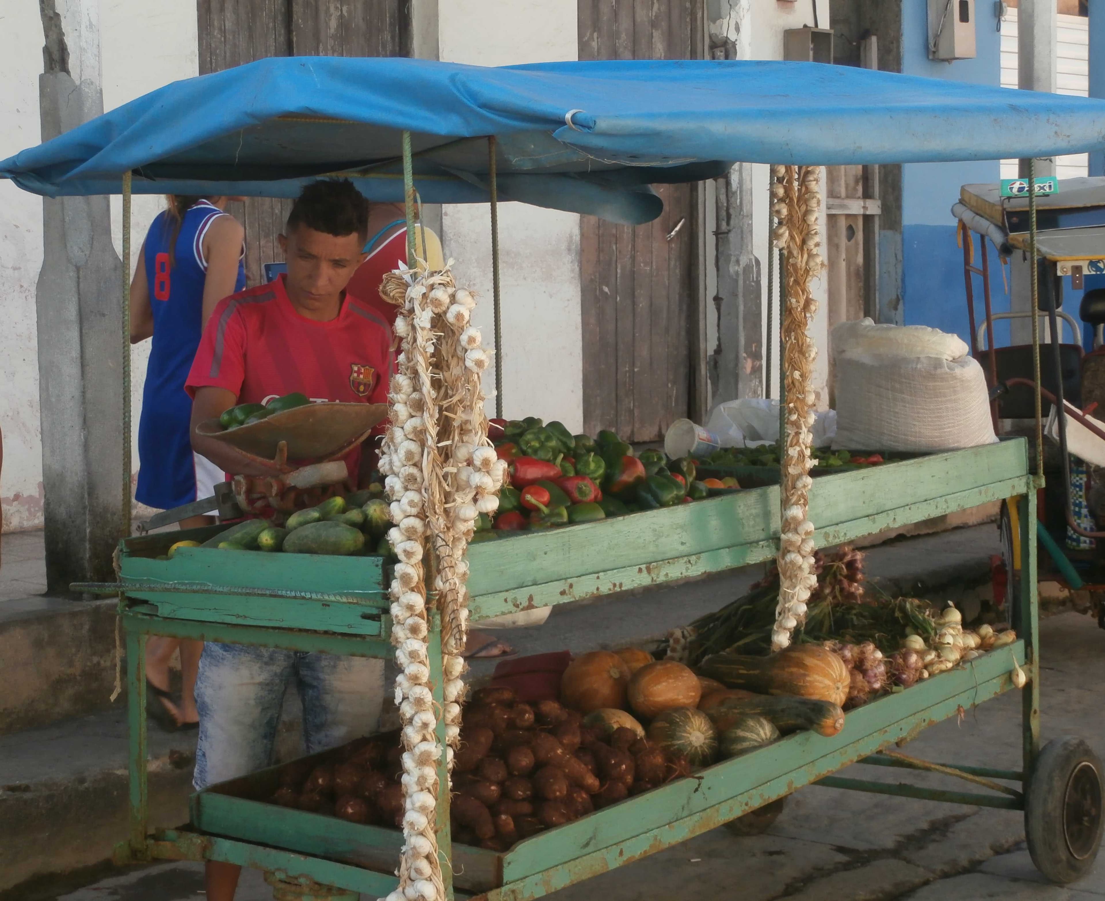 BCA vendor de verduras