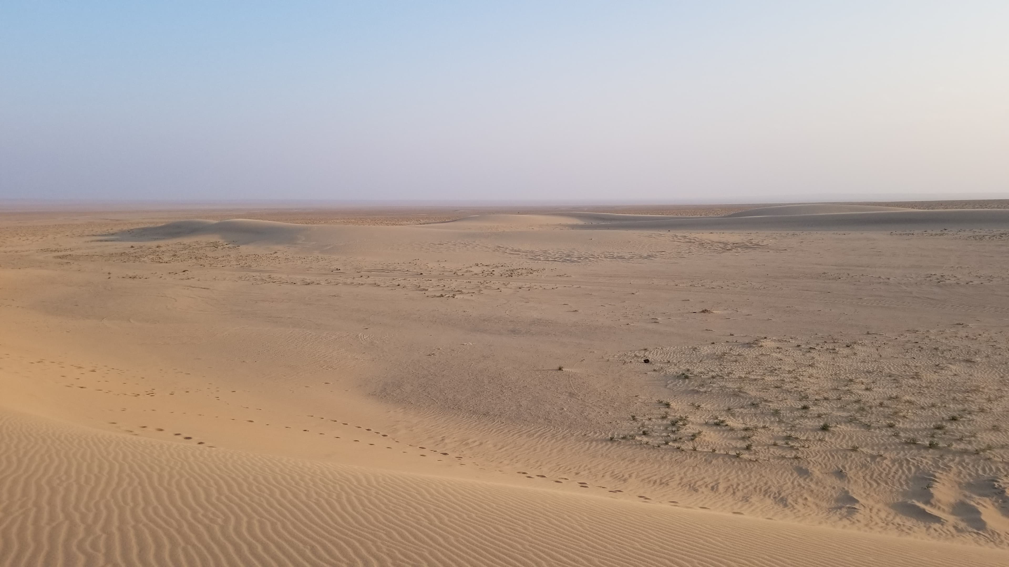 Mongolian Gobi desert dune 9