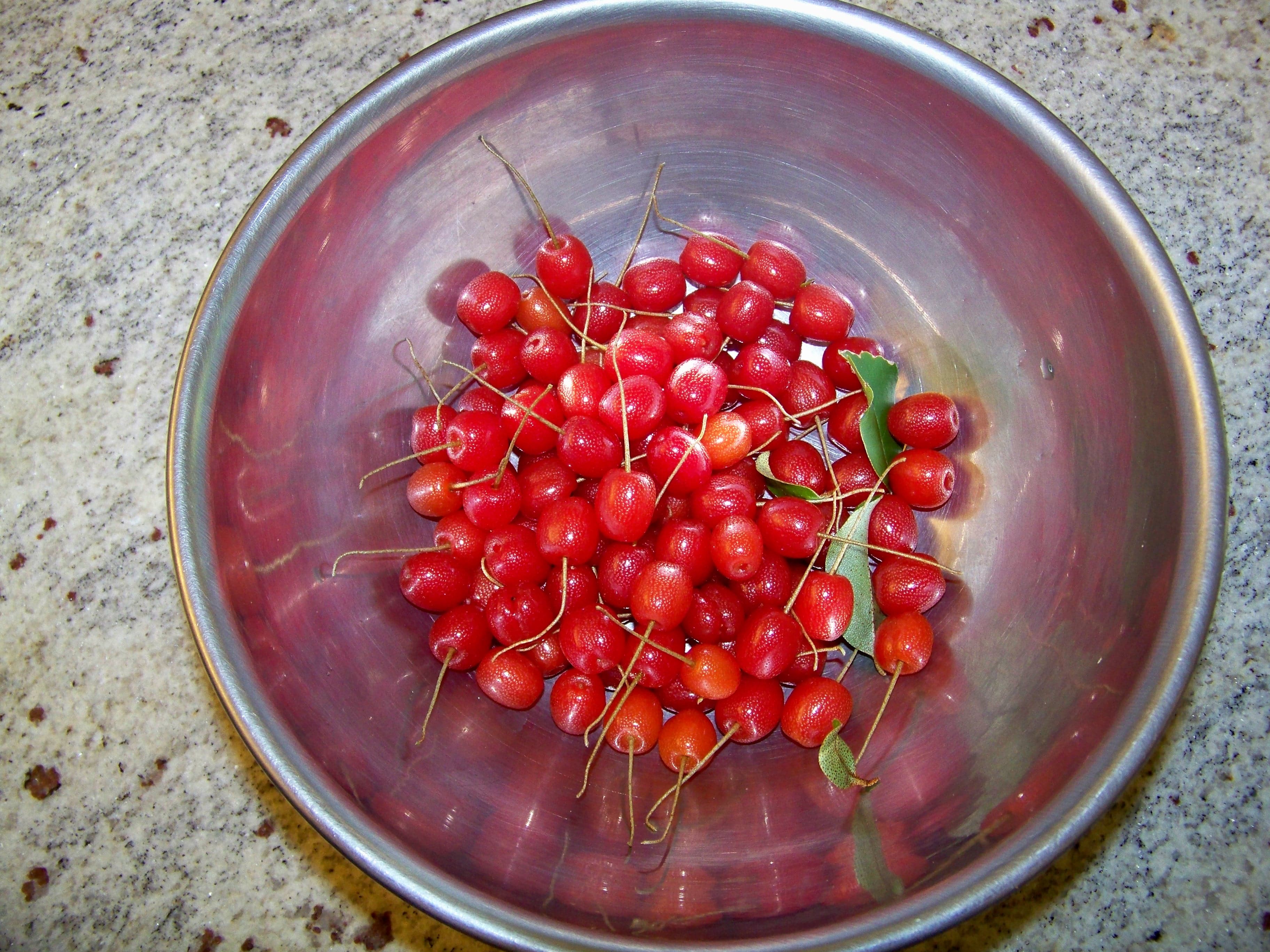 SilverBerries2