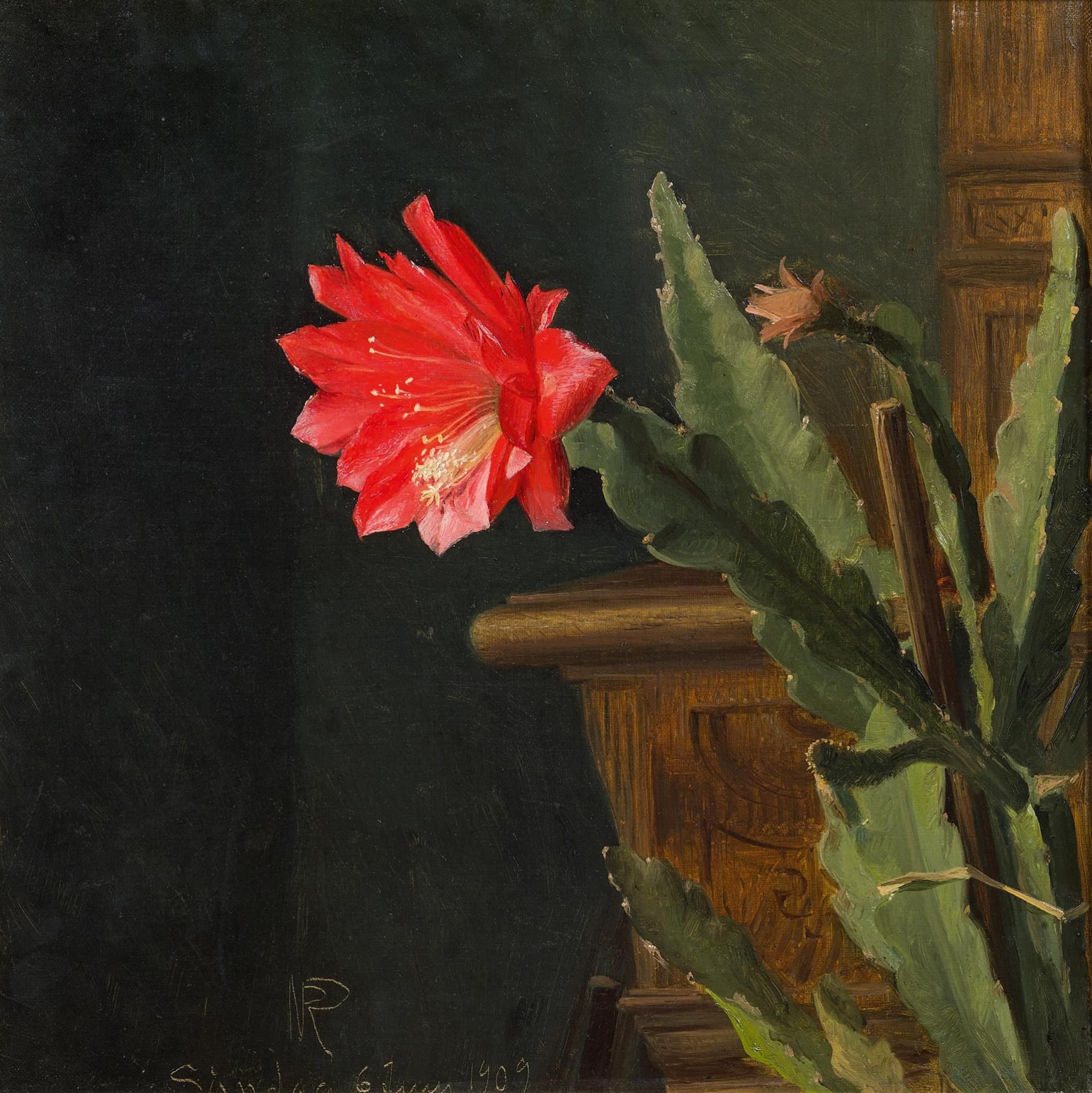 Niels Peter Rasmussen Blooming Cactus 1909