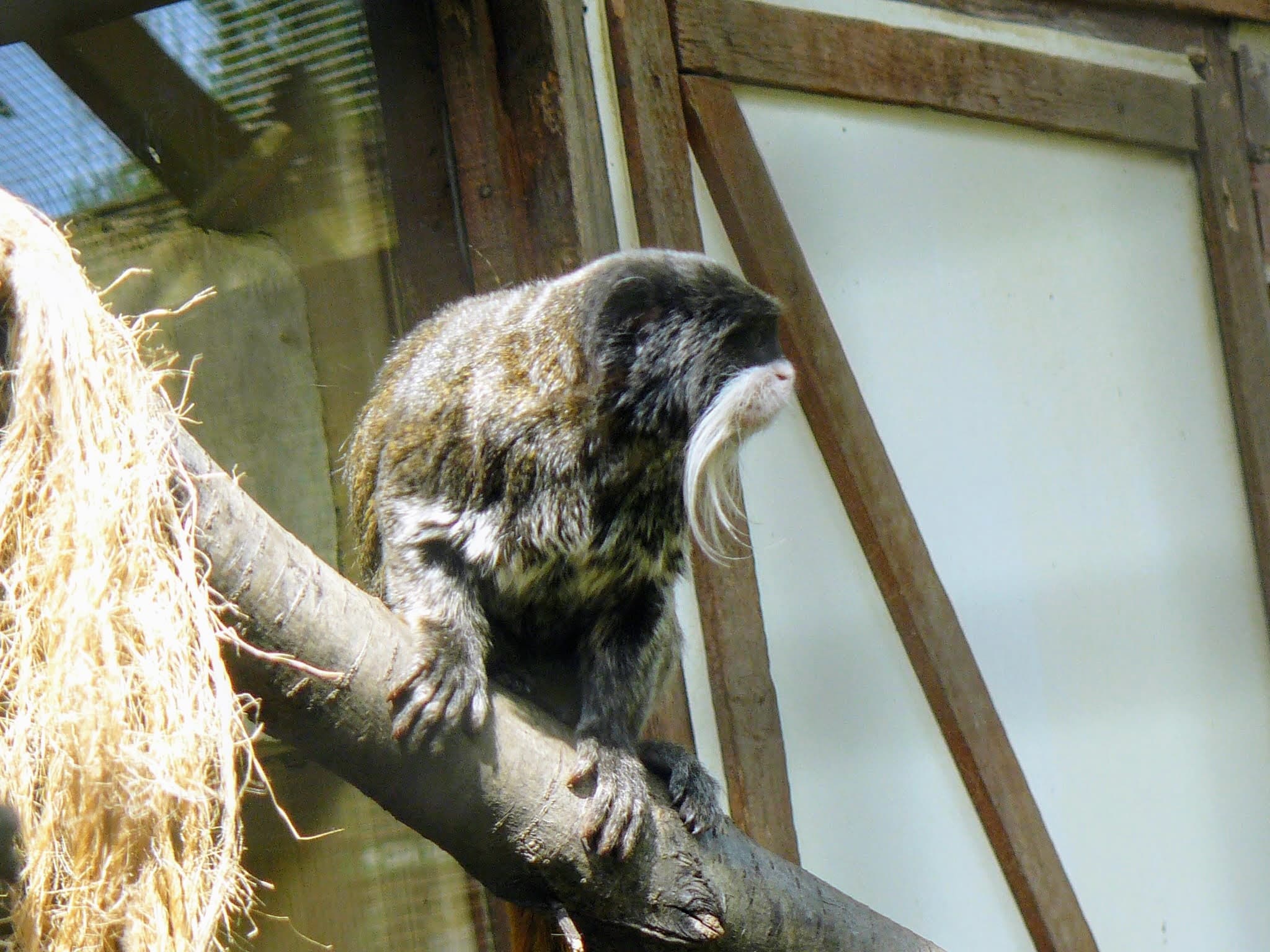 Wingham Wildlife Park Kent UK