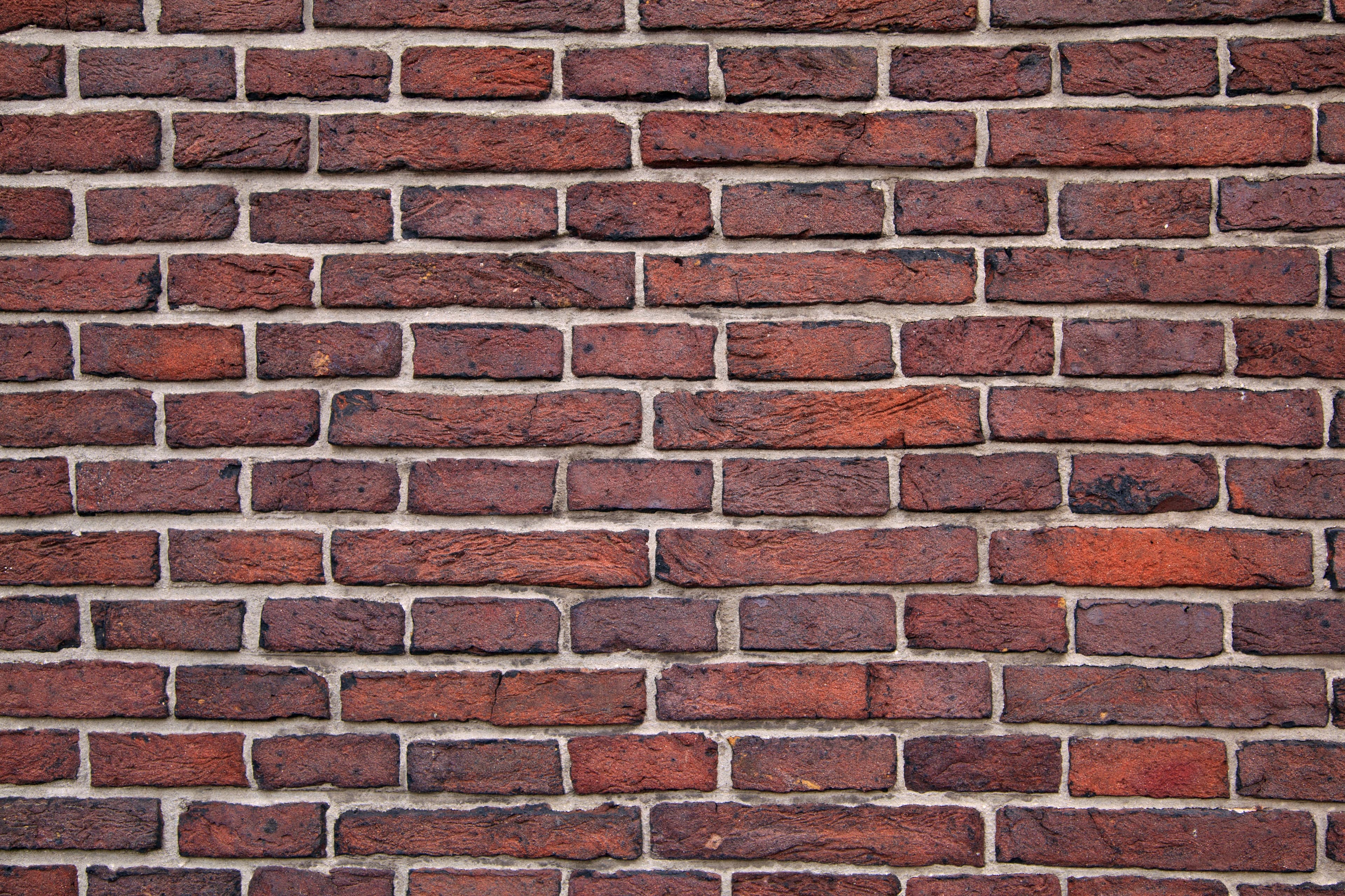 Backdrop-21534