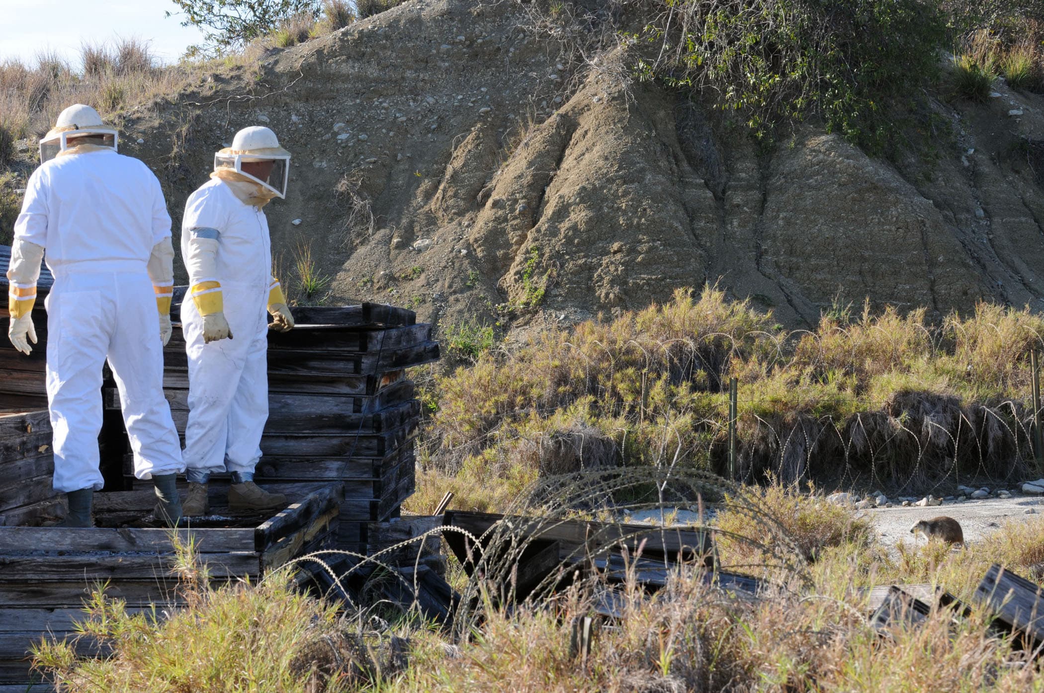 BEEF Beekeepers DVIDS272179