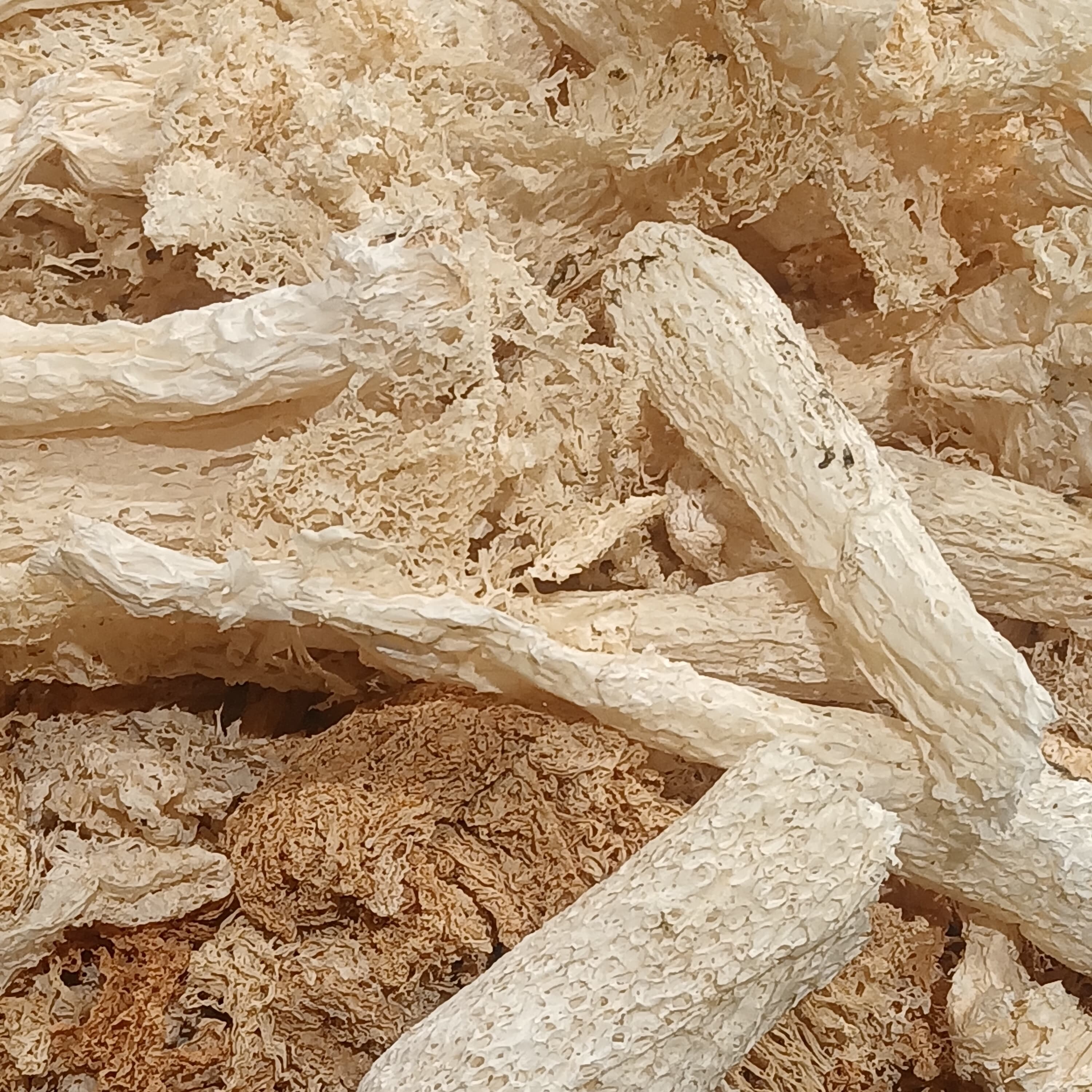Dried bamboo fungus