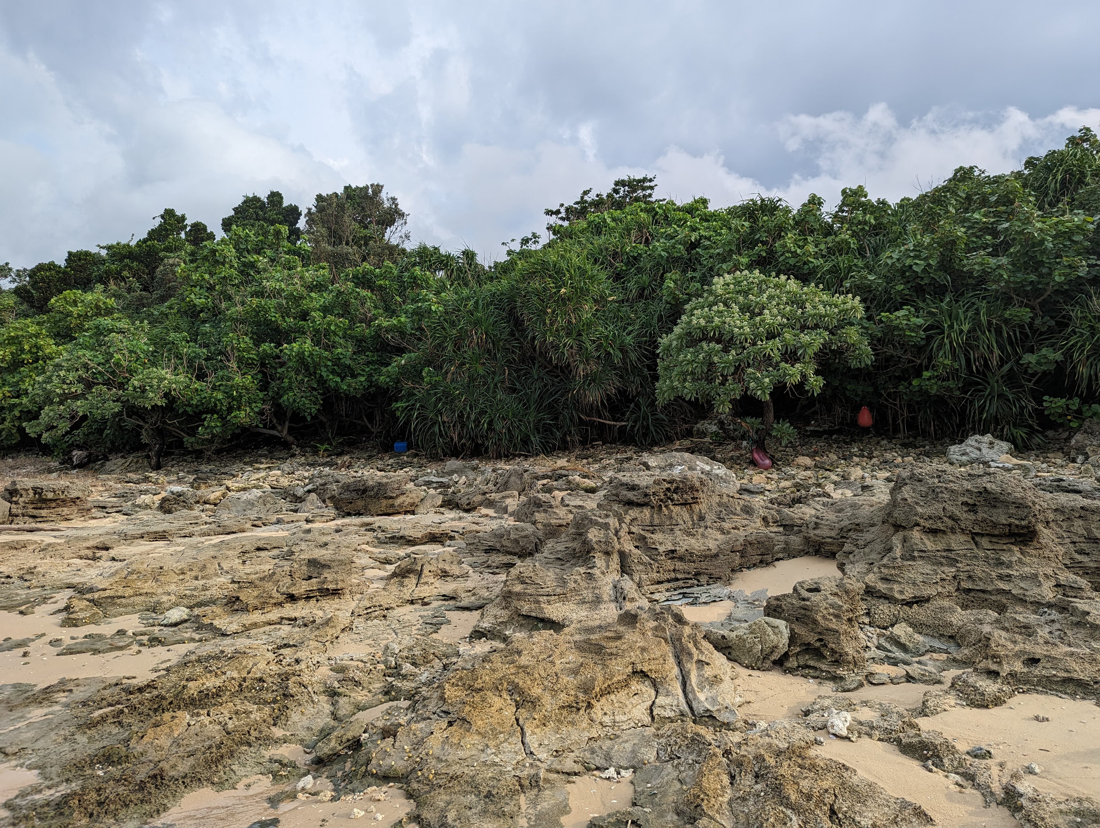 Coast near Yamabare (山原) 13
