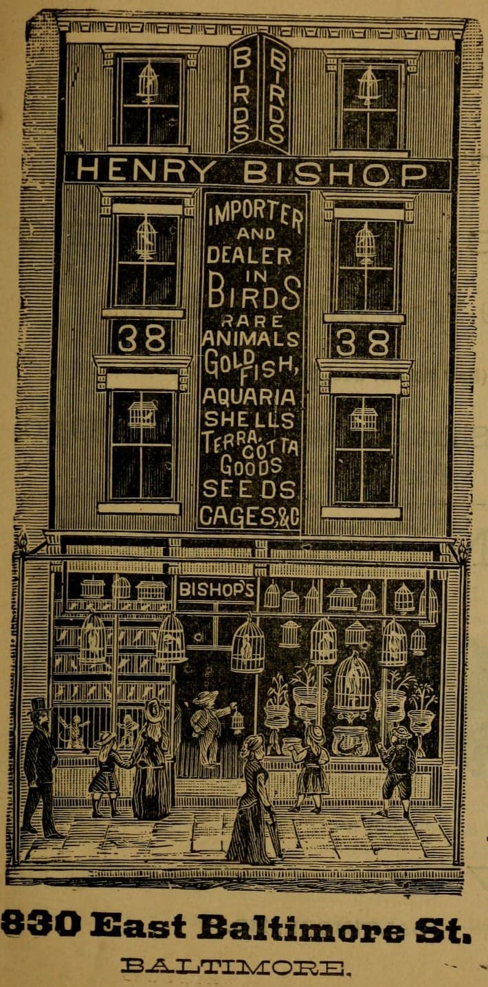 Henry Bishop storefront