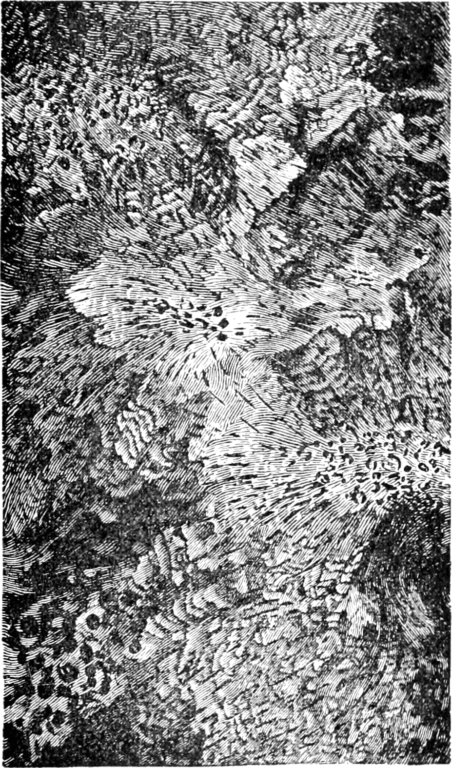 Cyclopedia of Painting-Fig 37